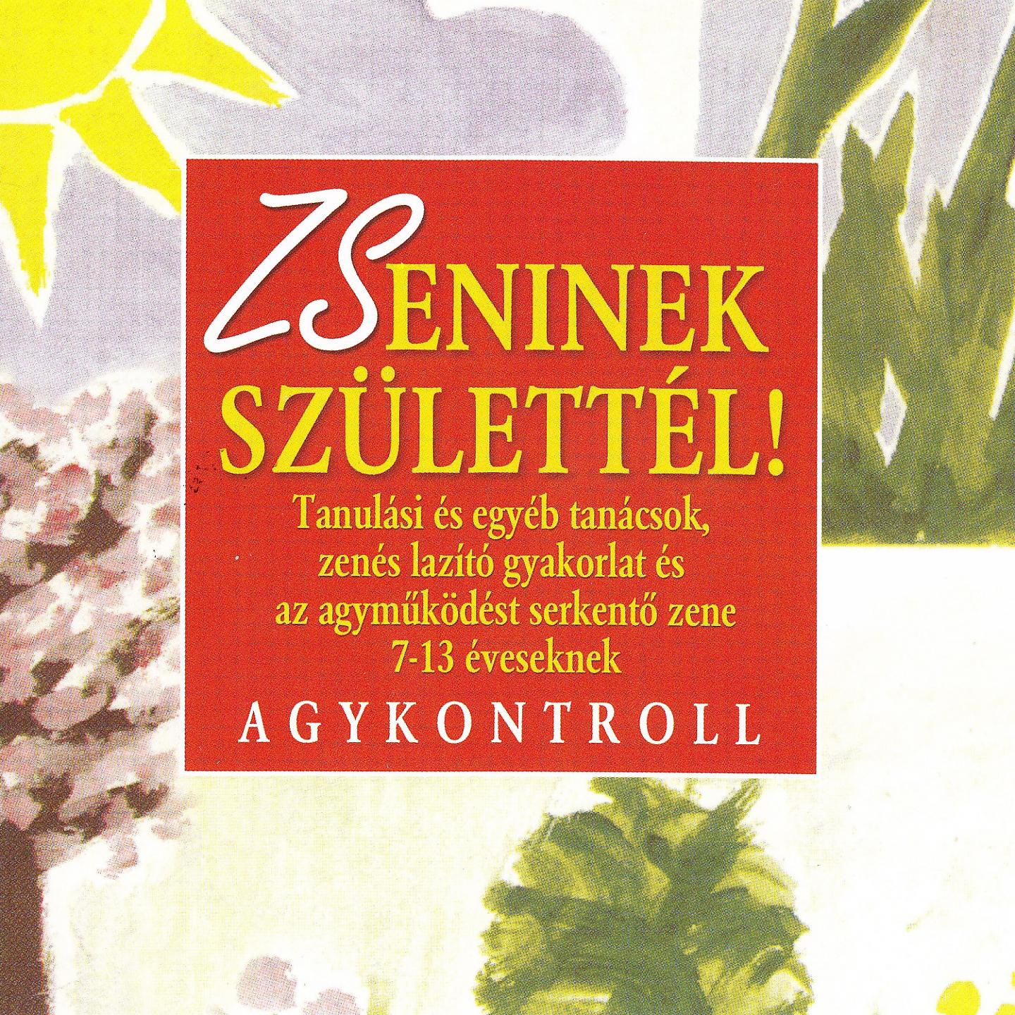 Постер альбома Zseninek Születtél