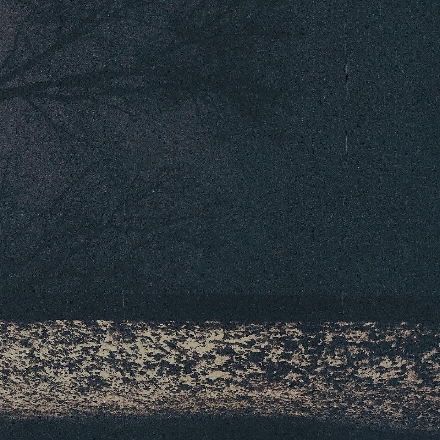 Fog Lake - Erik