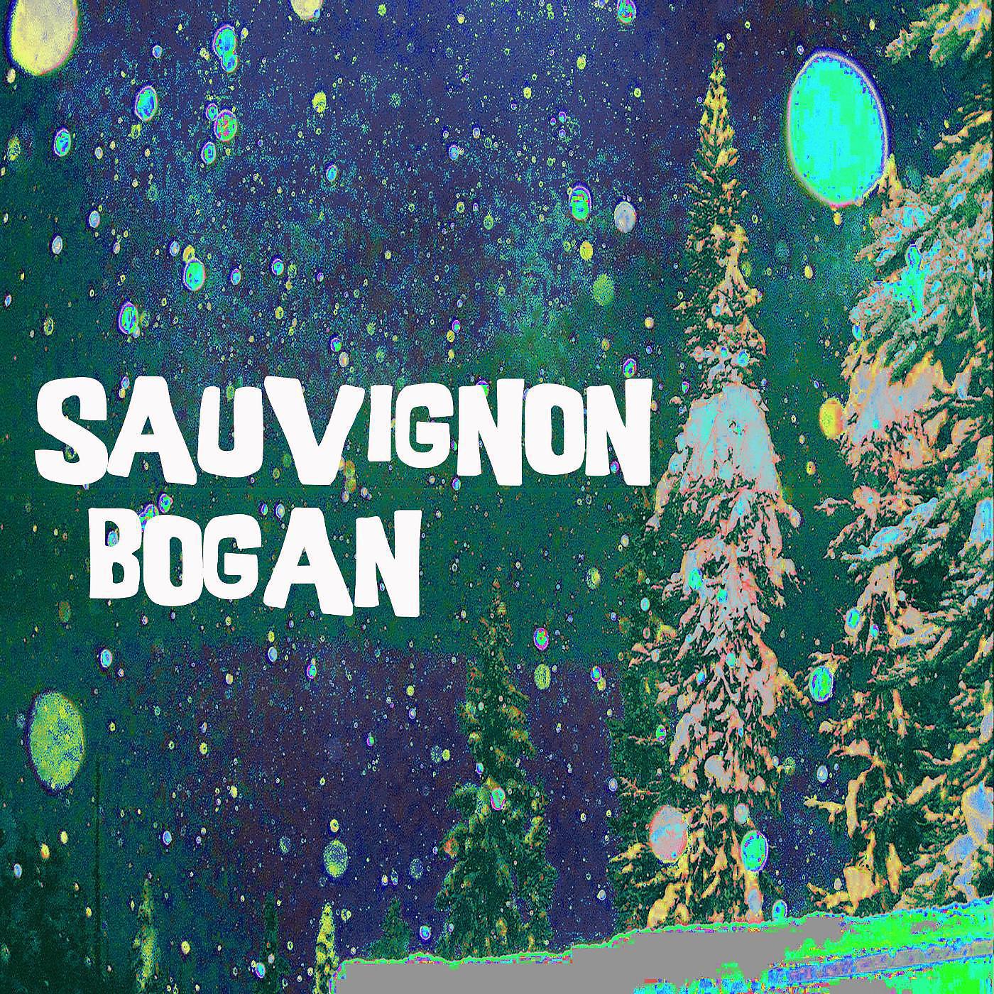 Постер альбома Sauvignon Bogan