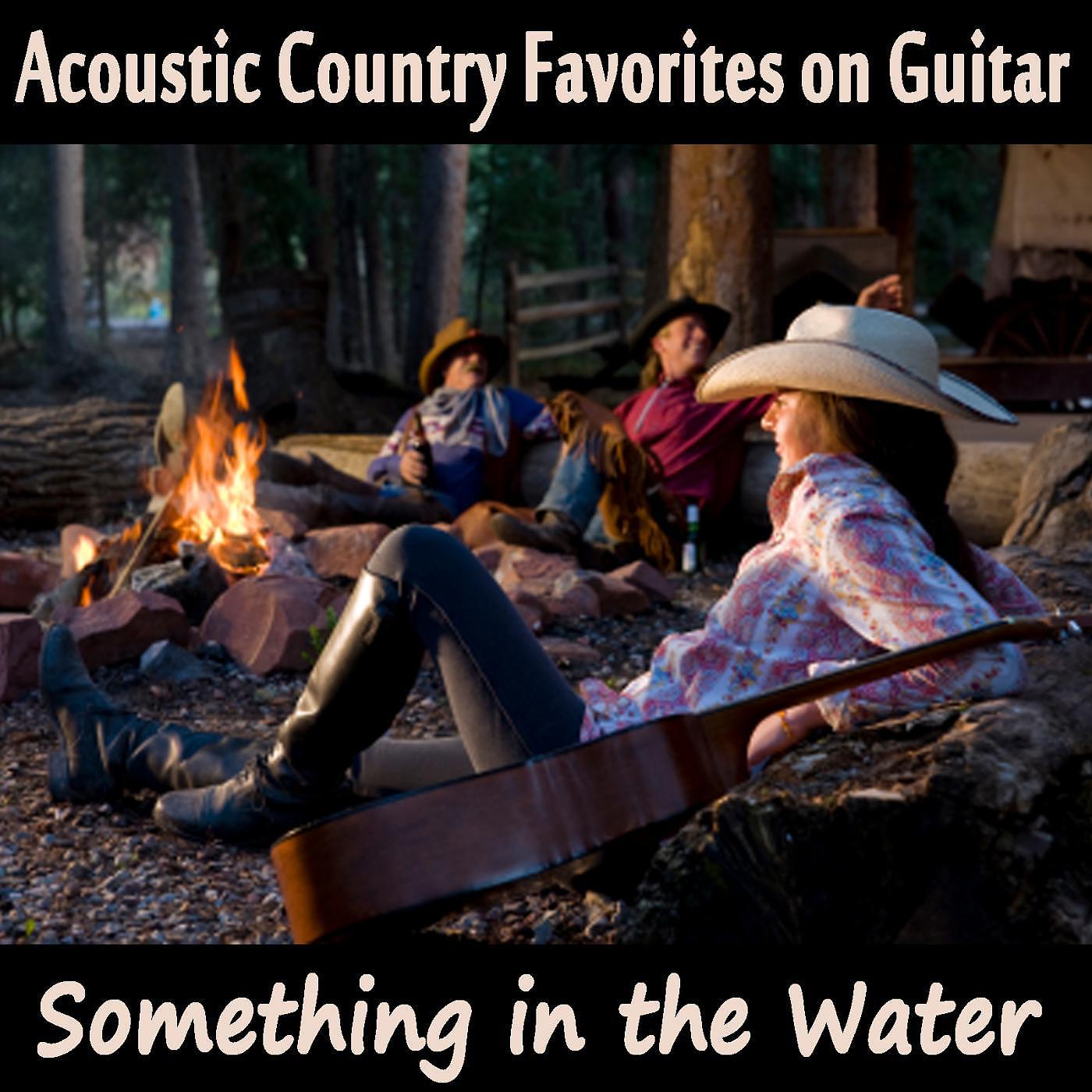 Постер альбома Acoustic Country Favorites on Guitar: Something in the Water