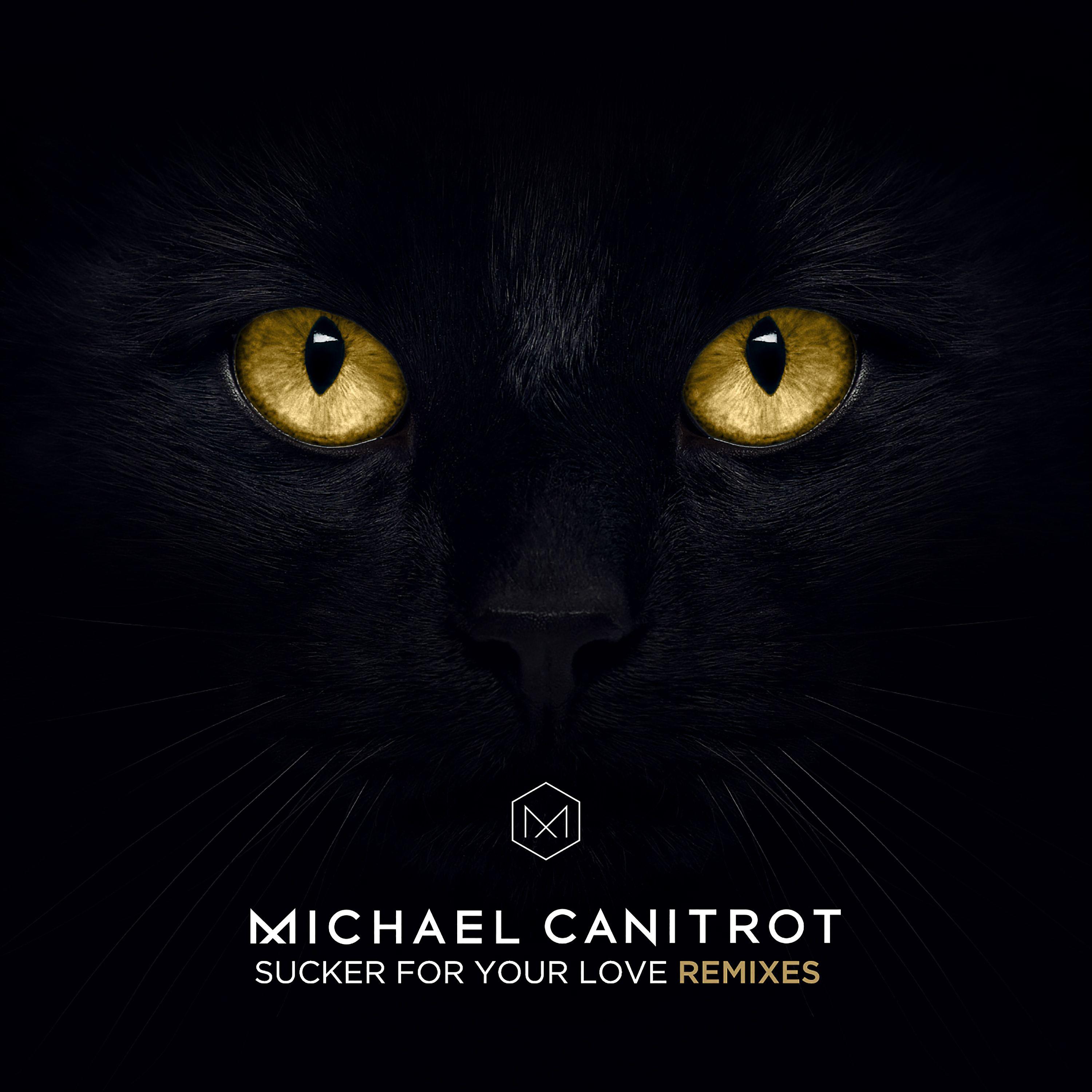 Постер альбома Sucker for Your Love (Remixes)