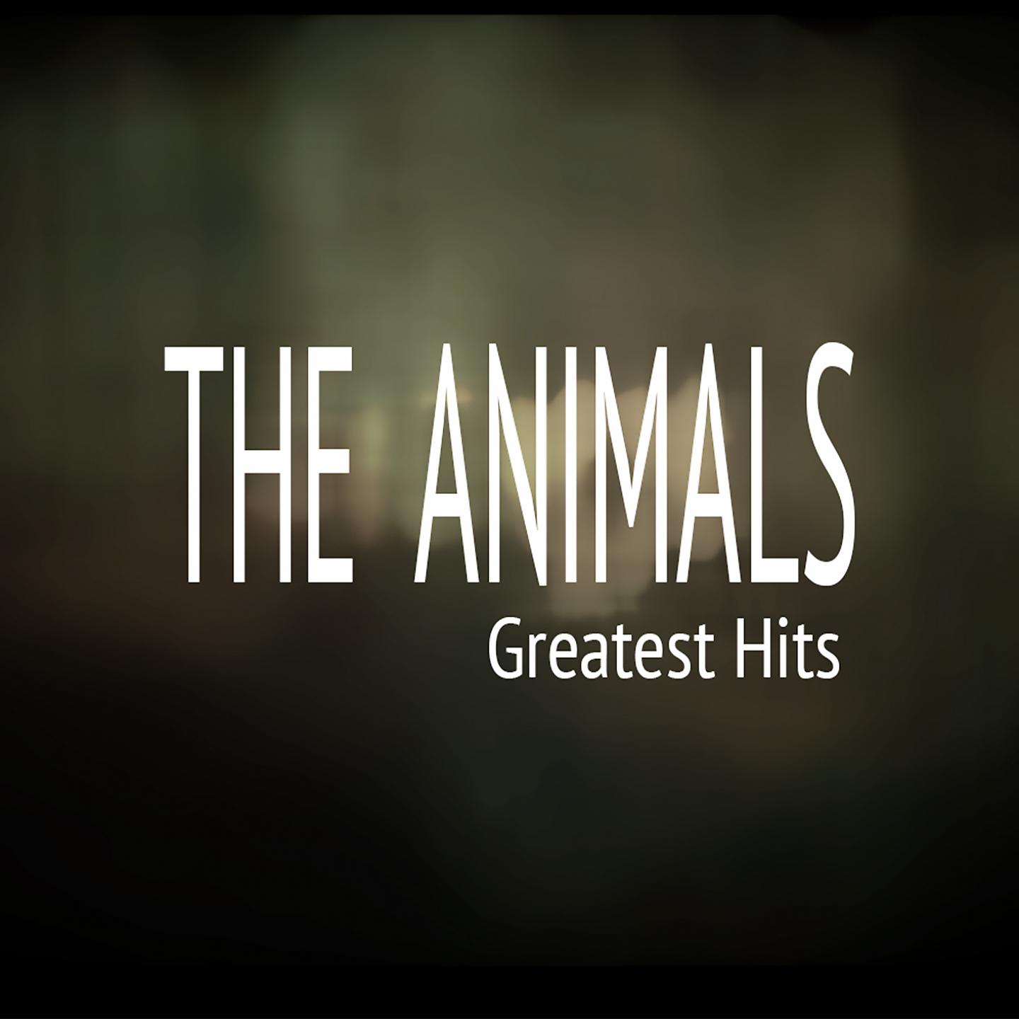Постер альбома The Animals Greatest Hits