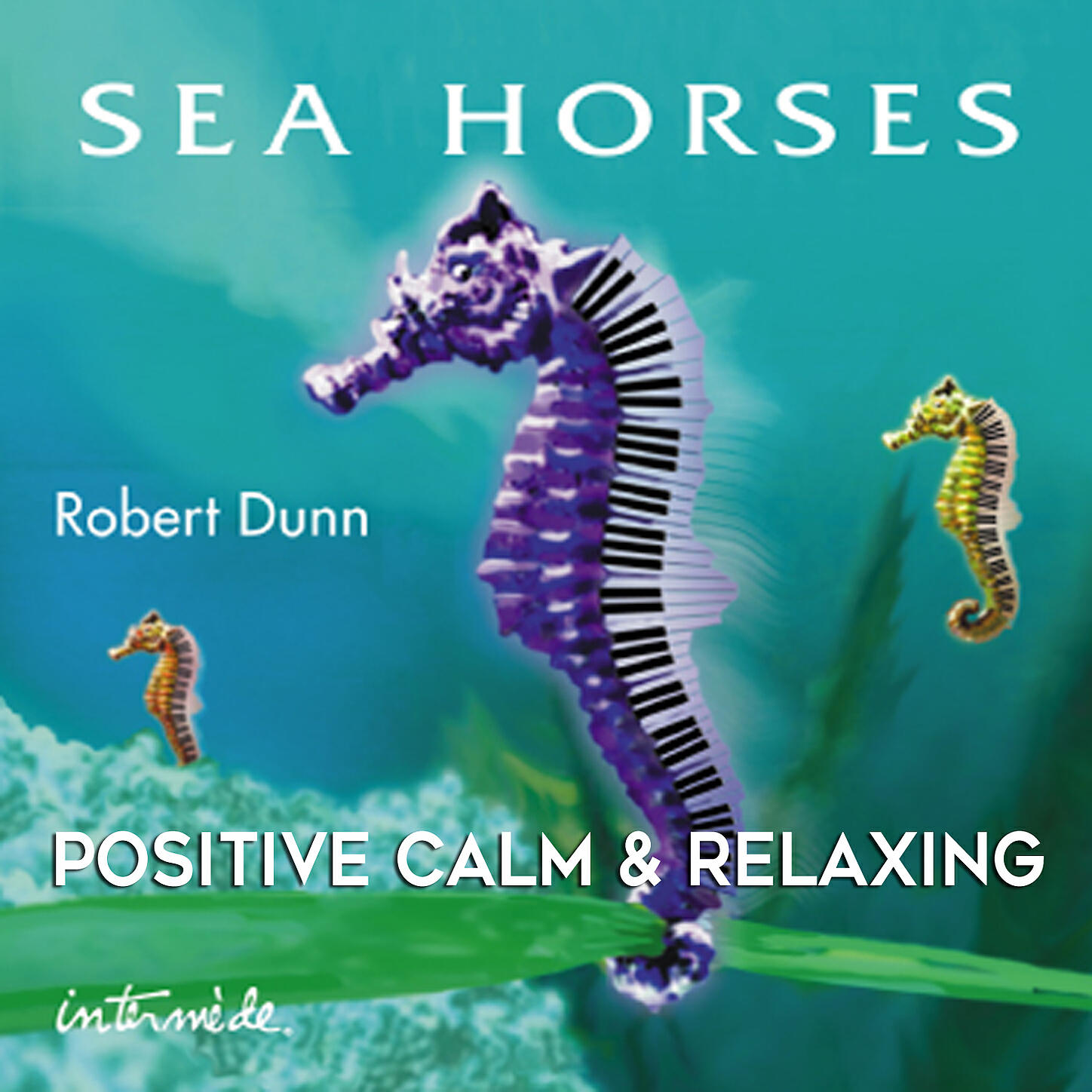 Robert Dunn - Nancy's Dream