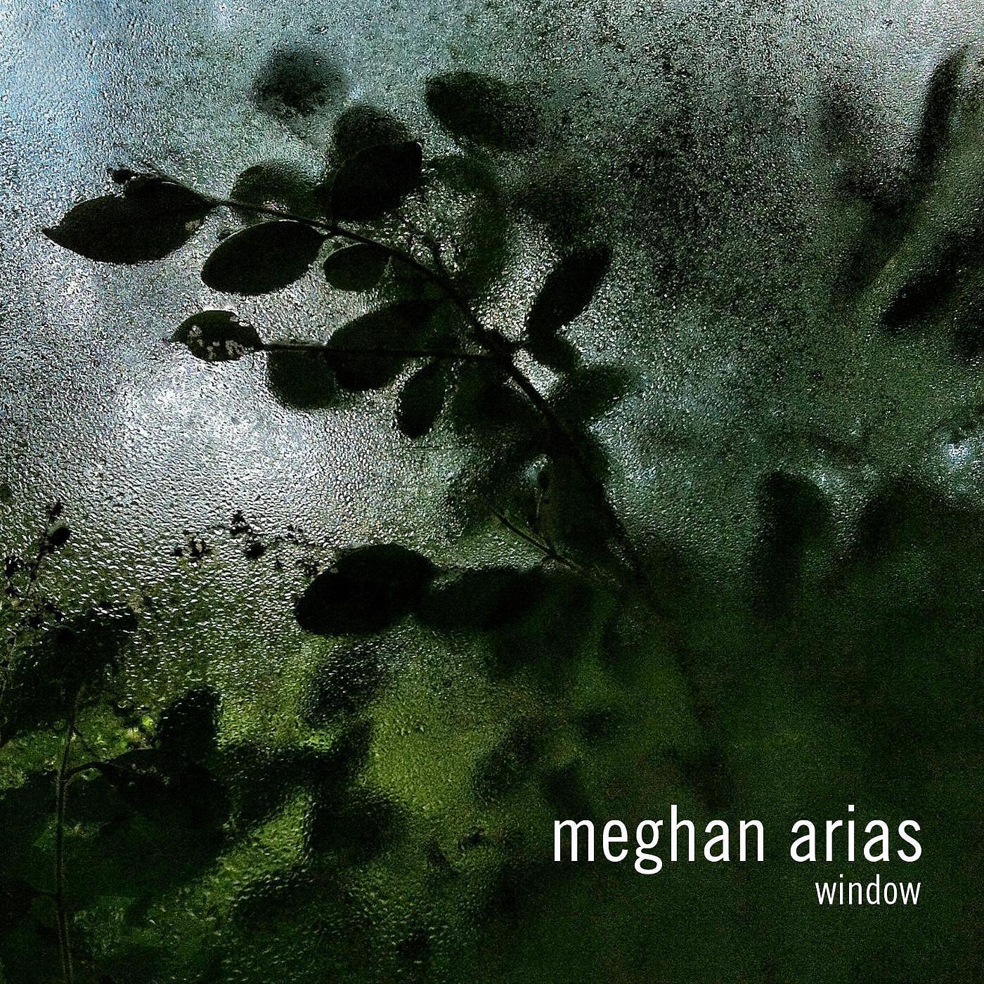 Meghan Arias - Window