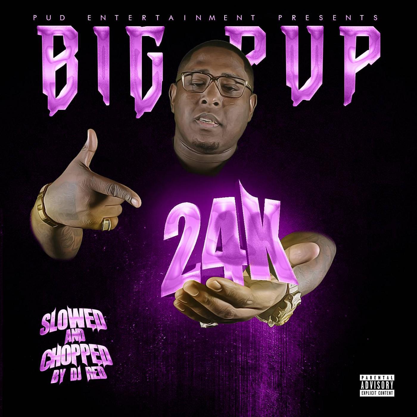 Big Pup & DJ Red - Ain't the Same (Slowed & Chopped)
