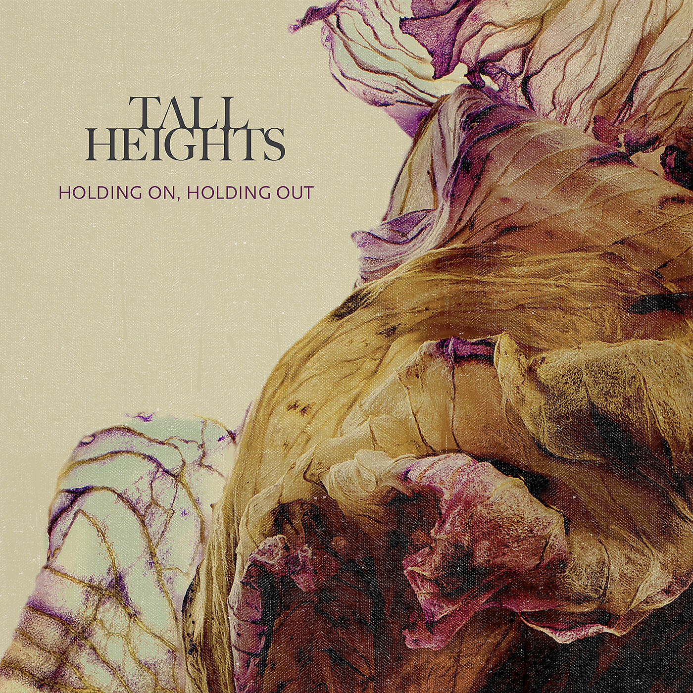 Tall Heights - Heirloom