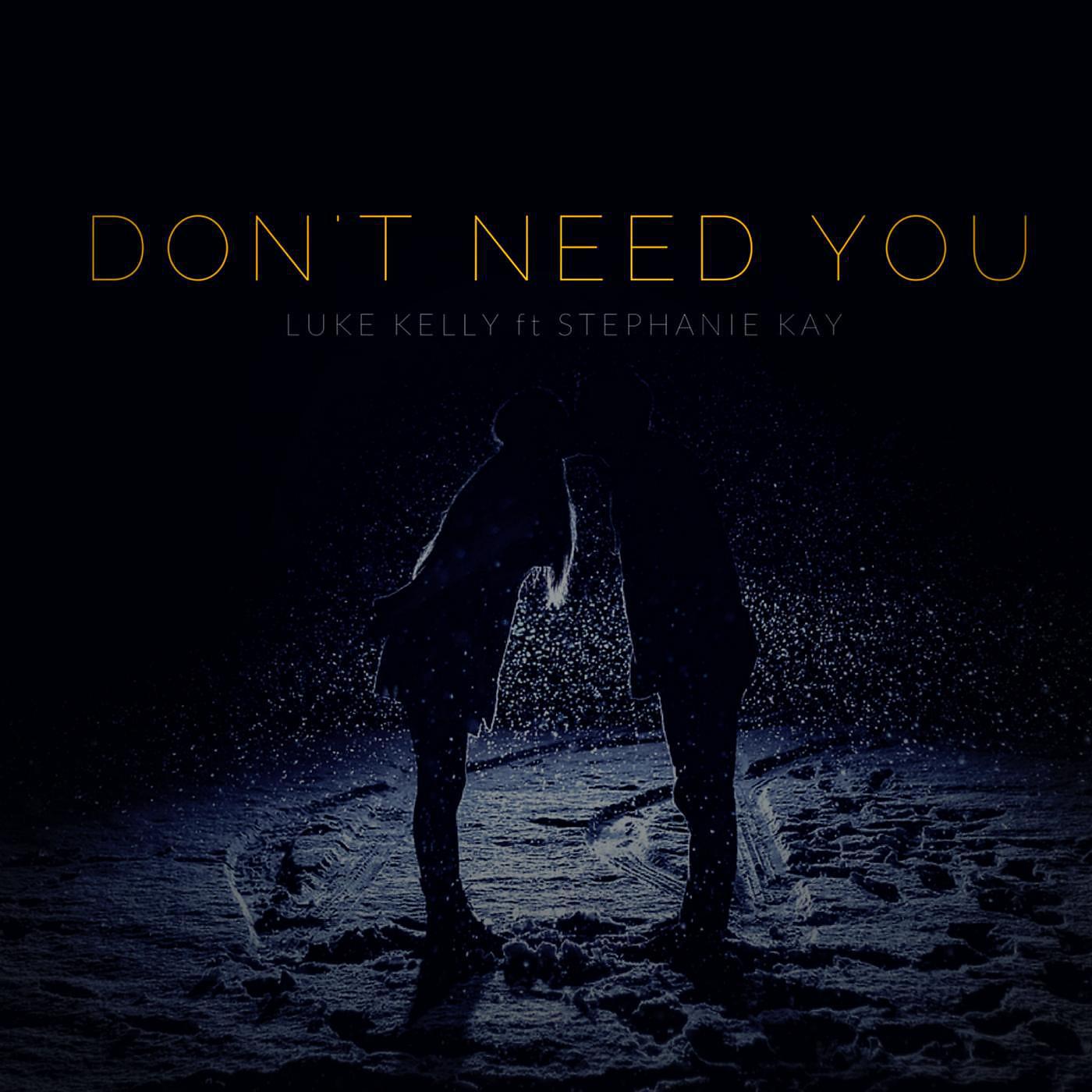 Постер альбома Don't Need You (feat. Stephanie Kay)