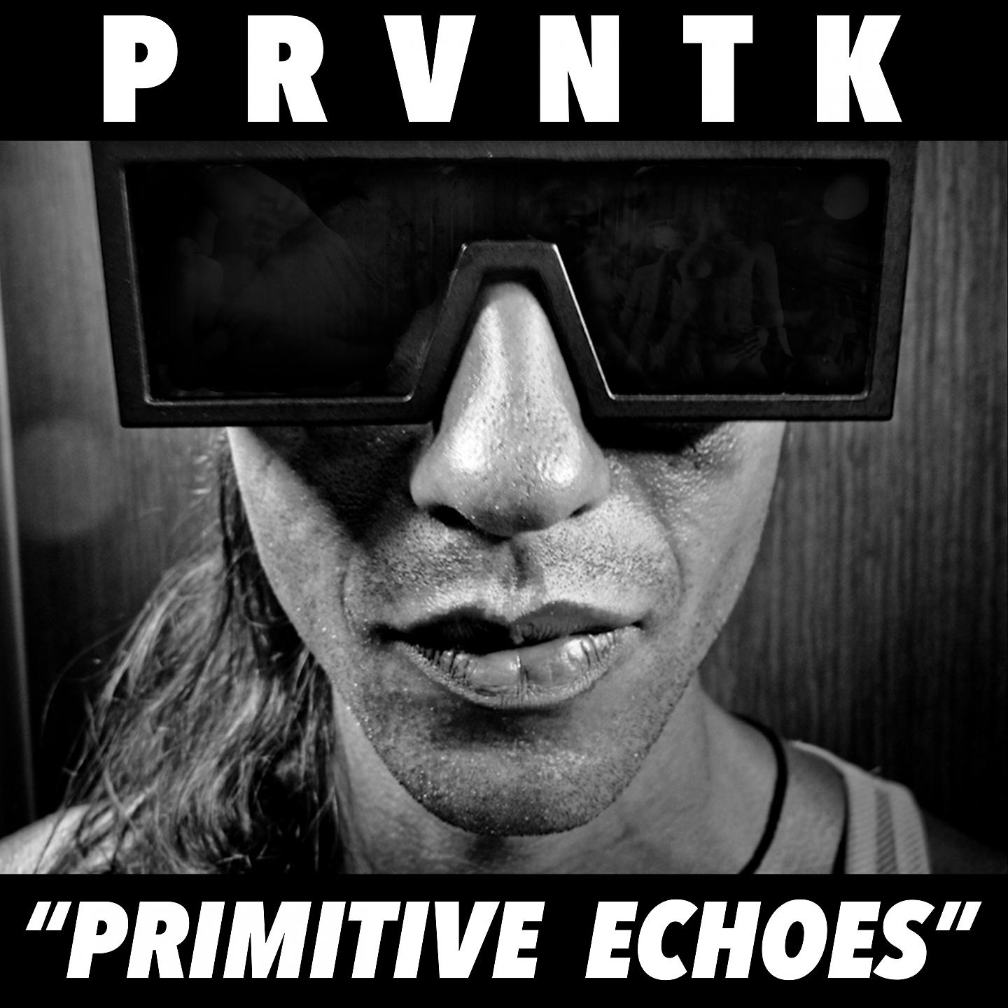 Постер альбома Primitive Echoes
