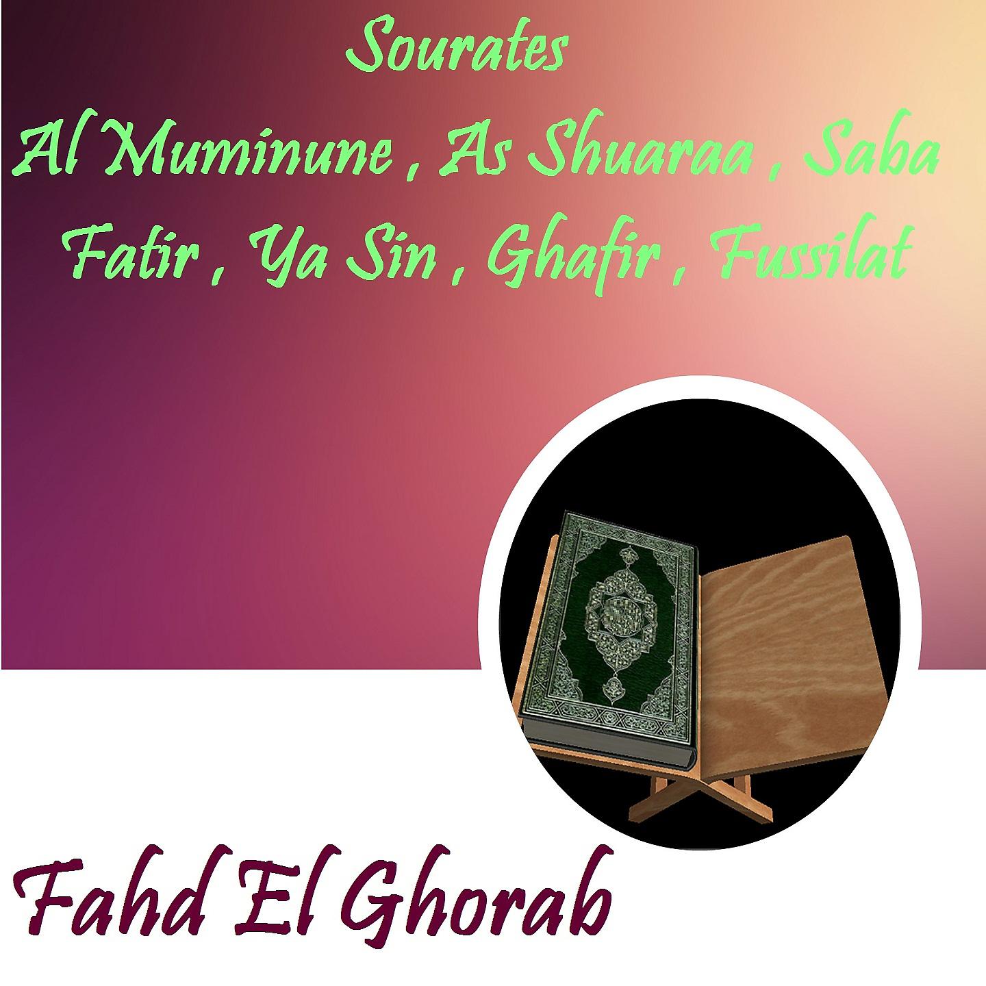 Постер альбома Sourates Al Muminune , As Shuaraa , Saba , Fatir , Ya Sin , Ghafir , Fussilat