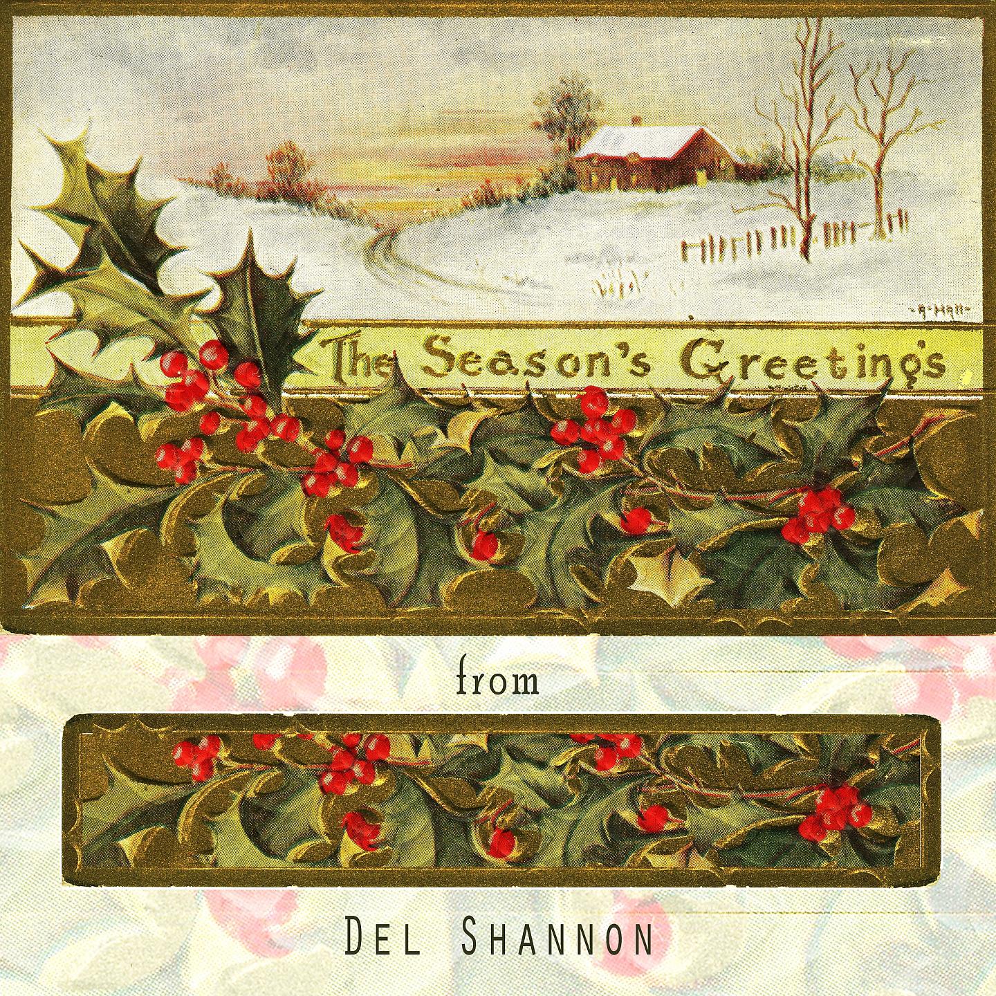 Del Shannon - Don't Glid The Lily Lily