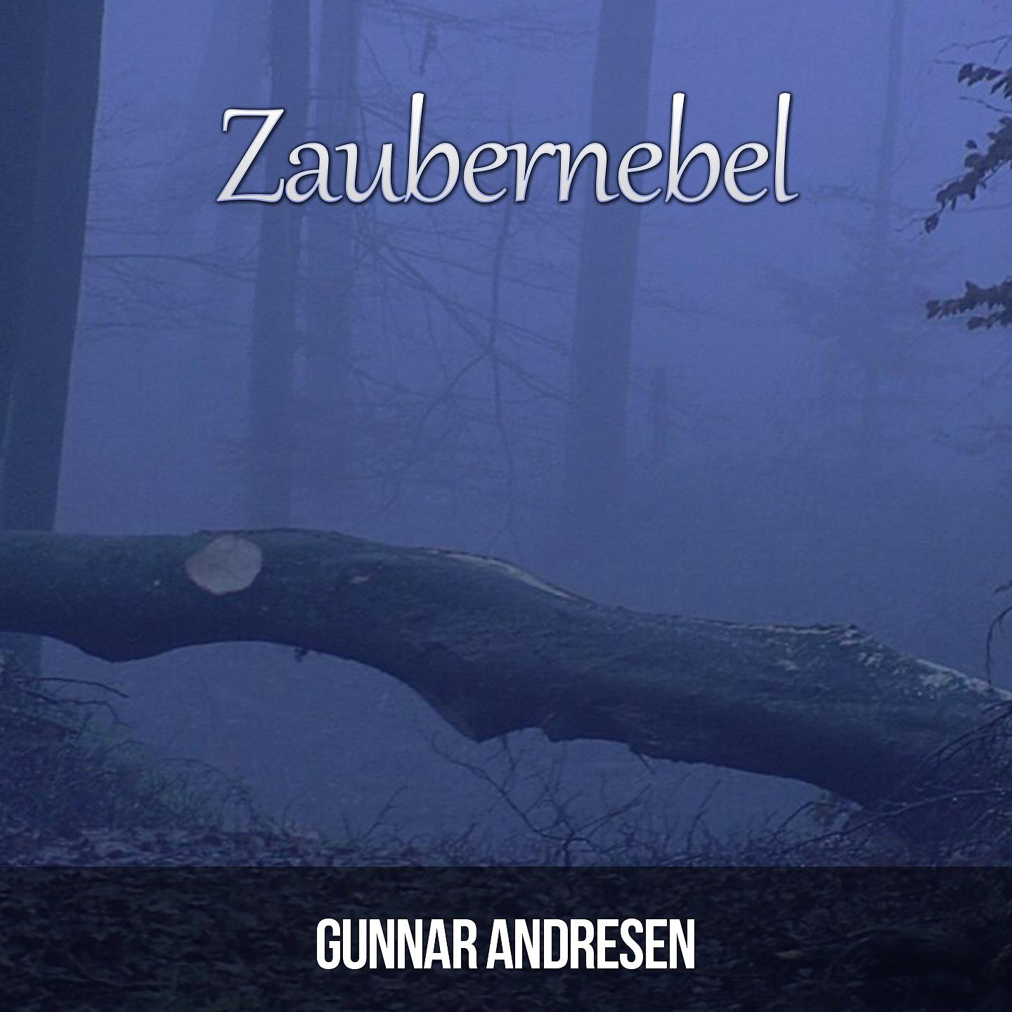 Постер альбома Zaubernebel