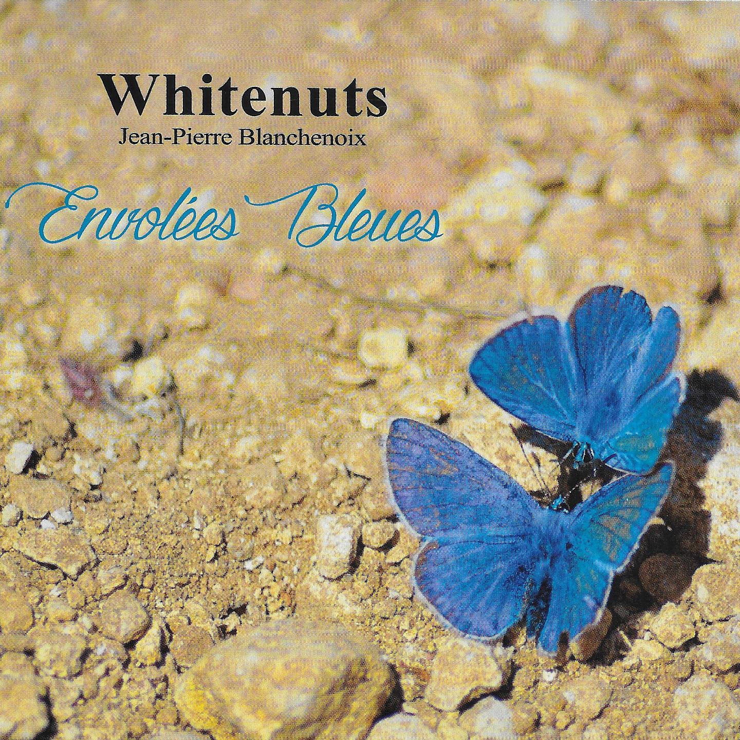 Постер альбома Envolées bleues