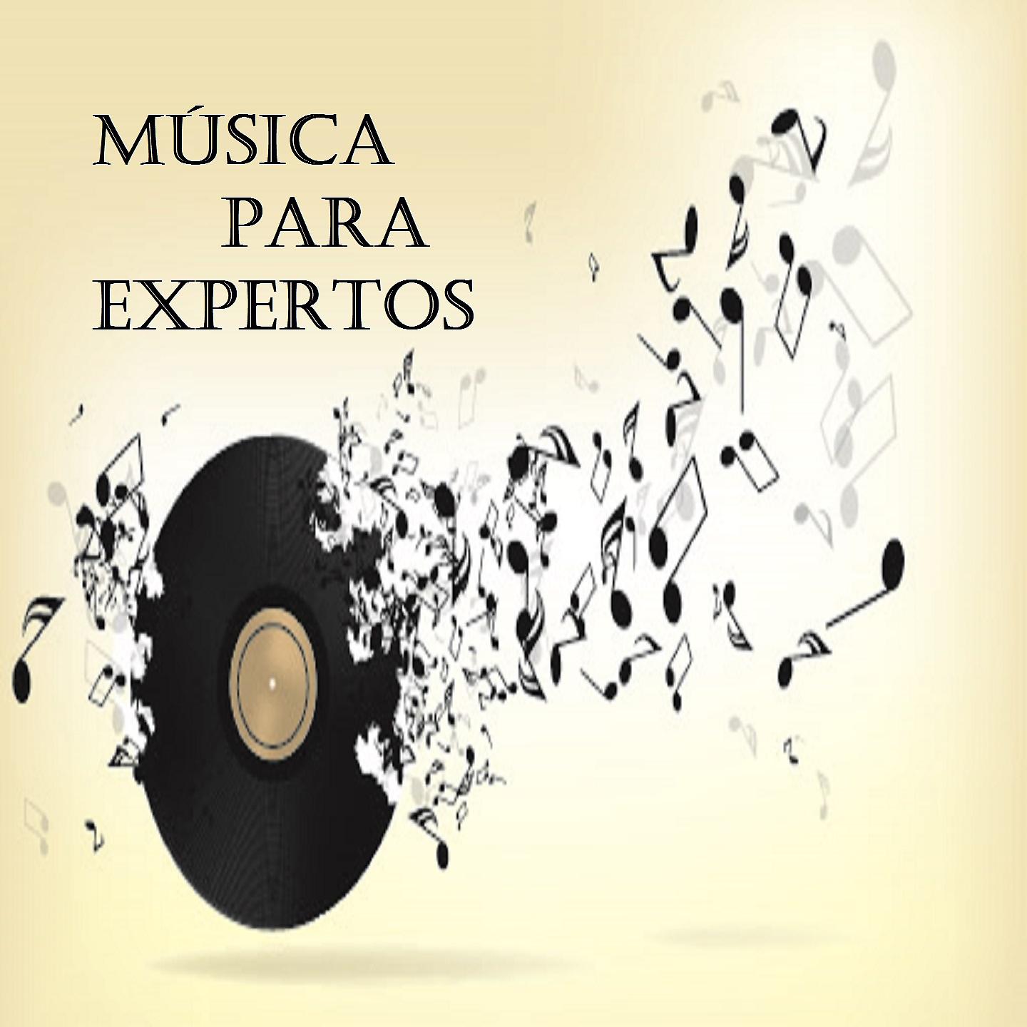 Постер альбома Música para Expertos