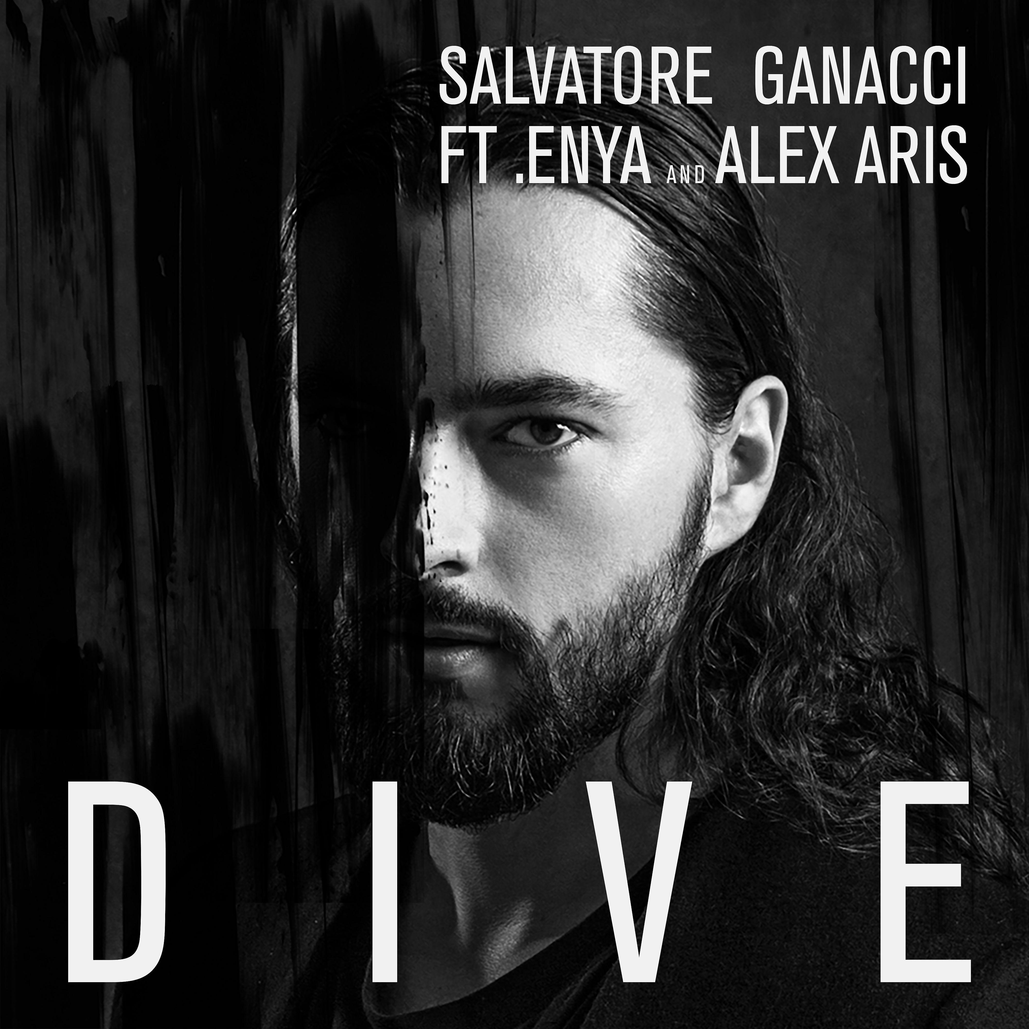 Постер альбома Dive (feat. Enya and Alex Aris)