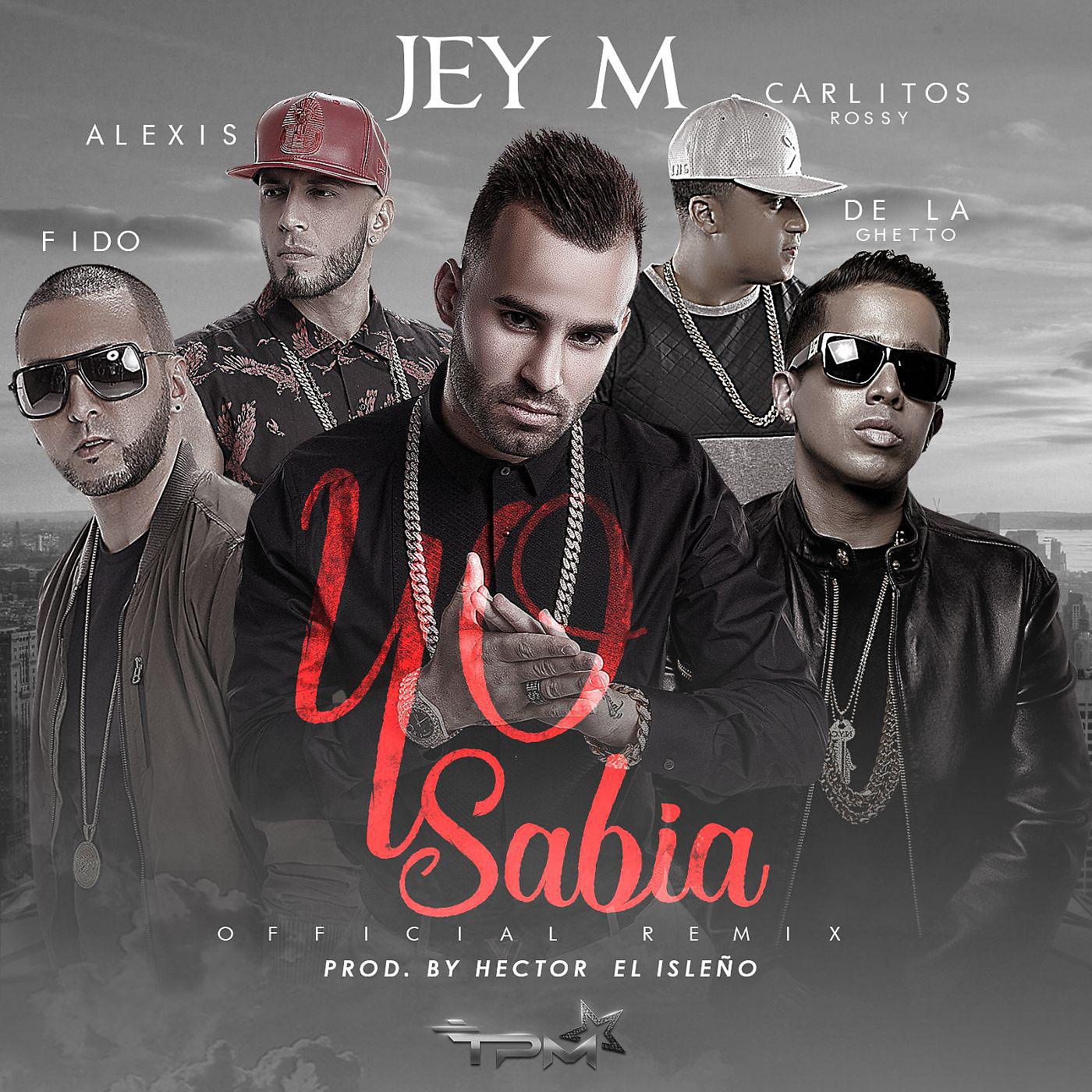 Постер альбома Yo sabía (feat. Alexis & Fido, De La Ghetto, Carlitos Rossy) [Official Remix]