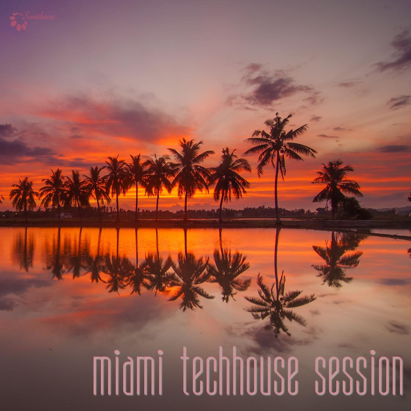 Постер альбома Miami Techhouse Session