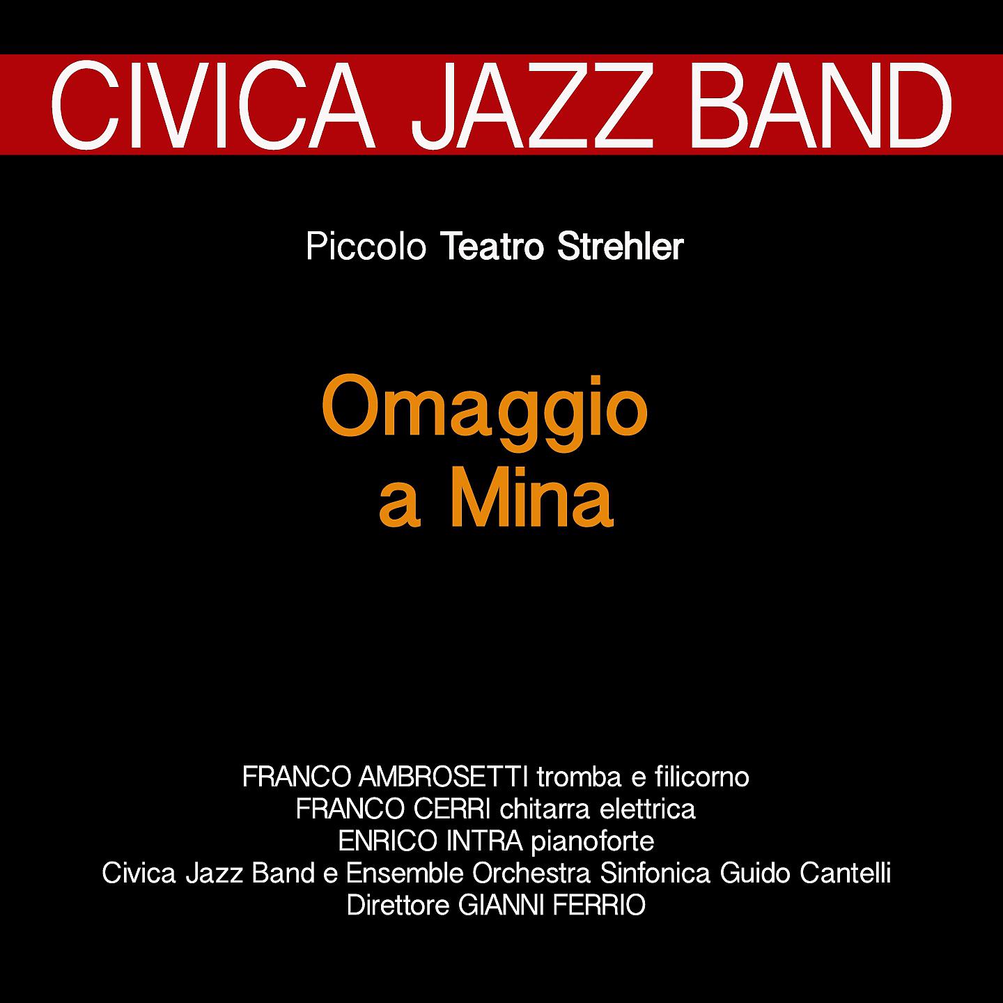 Постер альбома Omaggio a Mina