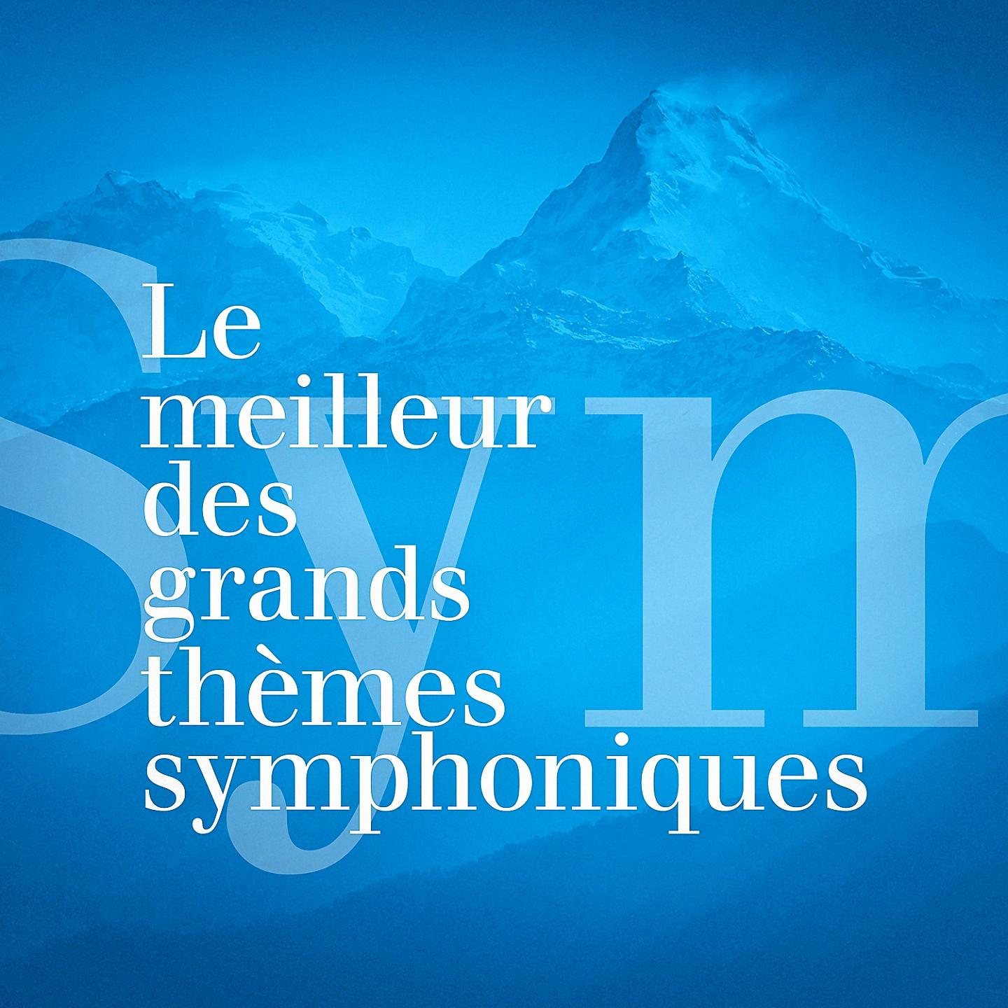Постер альбома Le meilleur des grands thèmes symphoniques