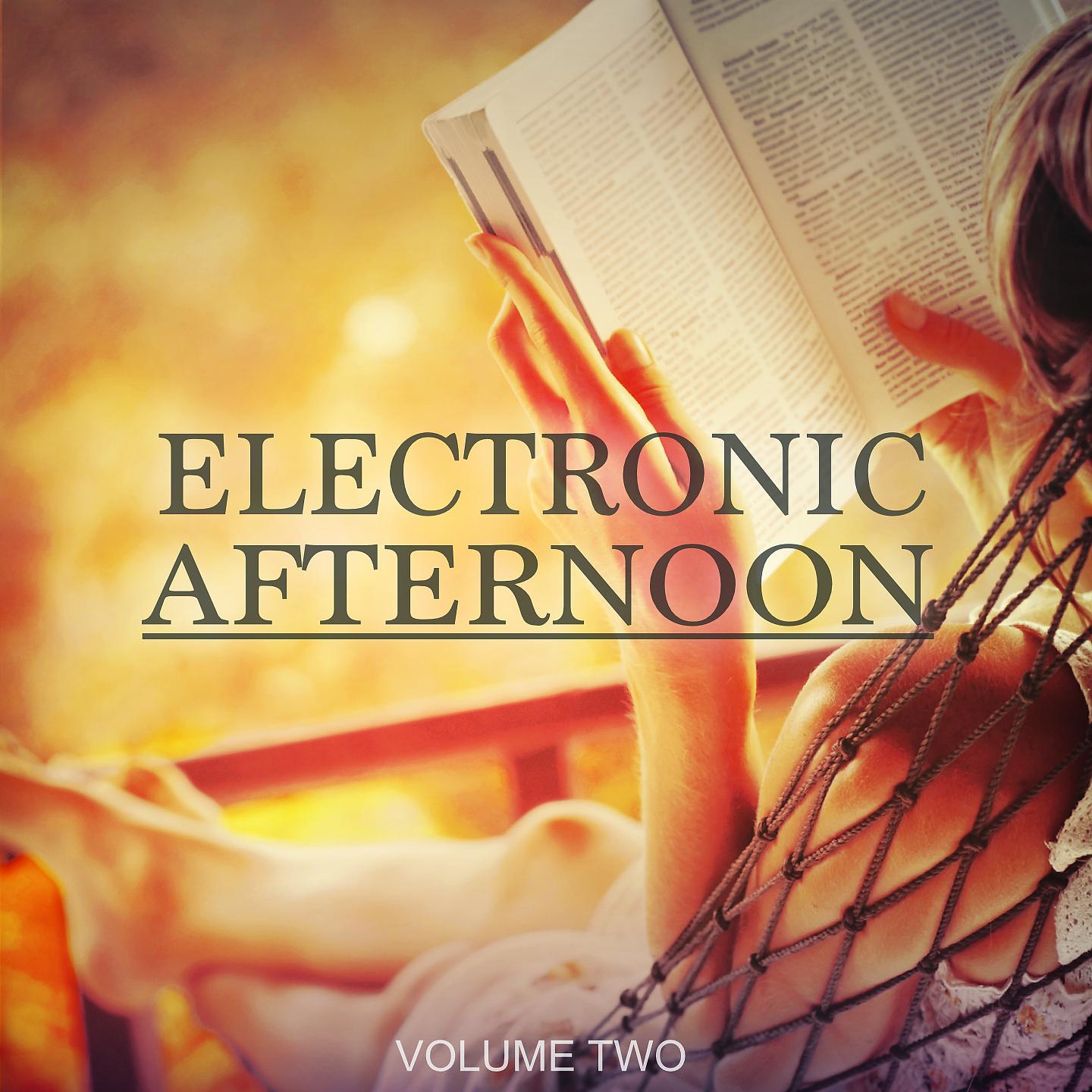 Постер альбома Electronic Afternoon, Vol. 2