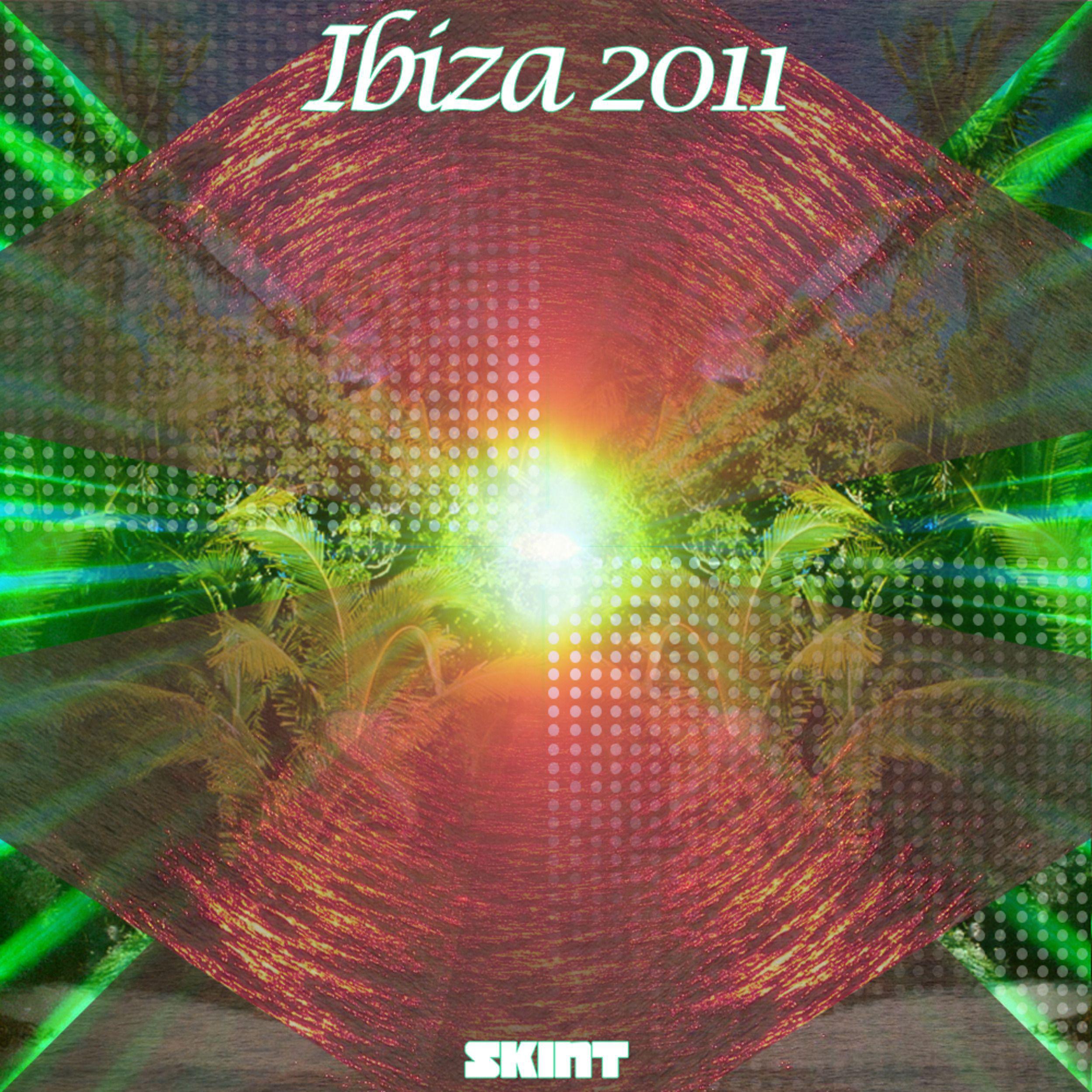 Постер альбома Ibiza 2011