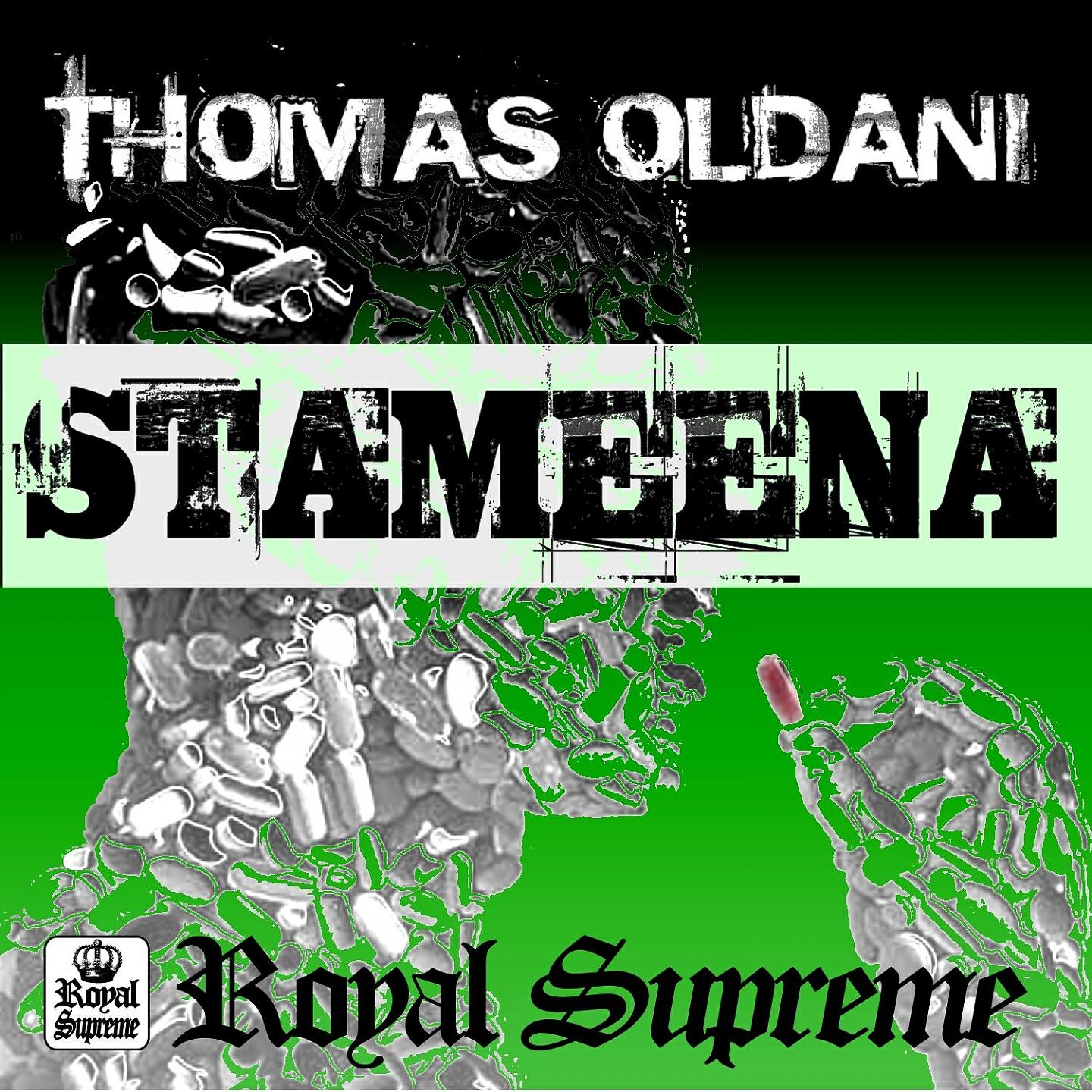 Thomas Oldani - Stameena (SDG E-Trance Hard Mix)