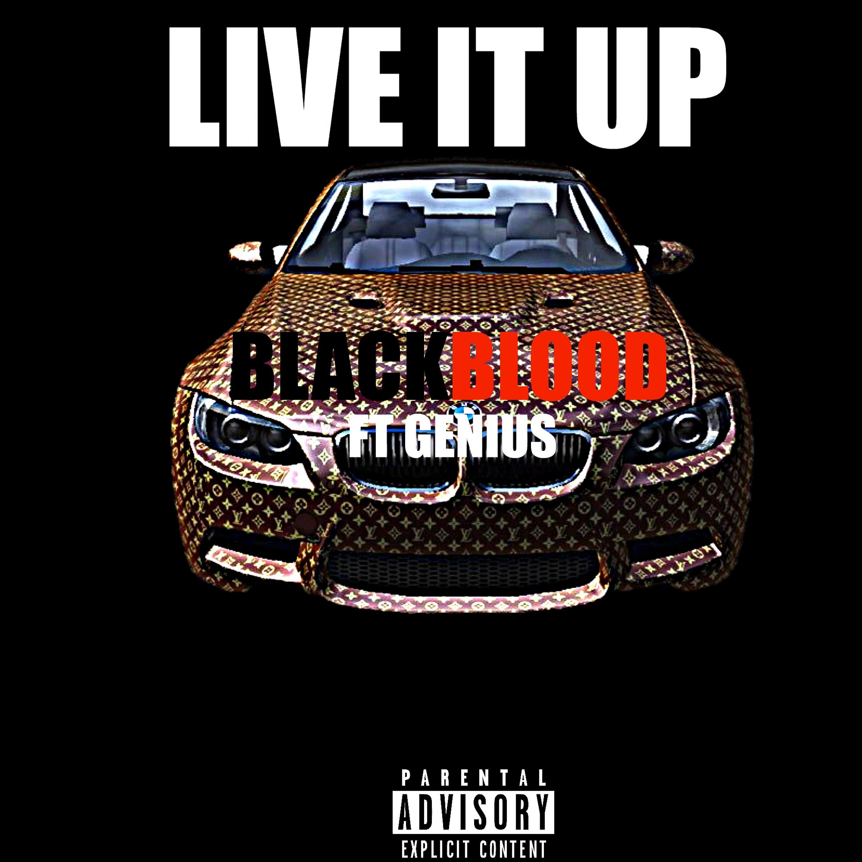 Постер альбома Live It Up (feat. Genius) - Single