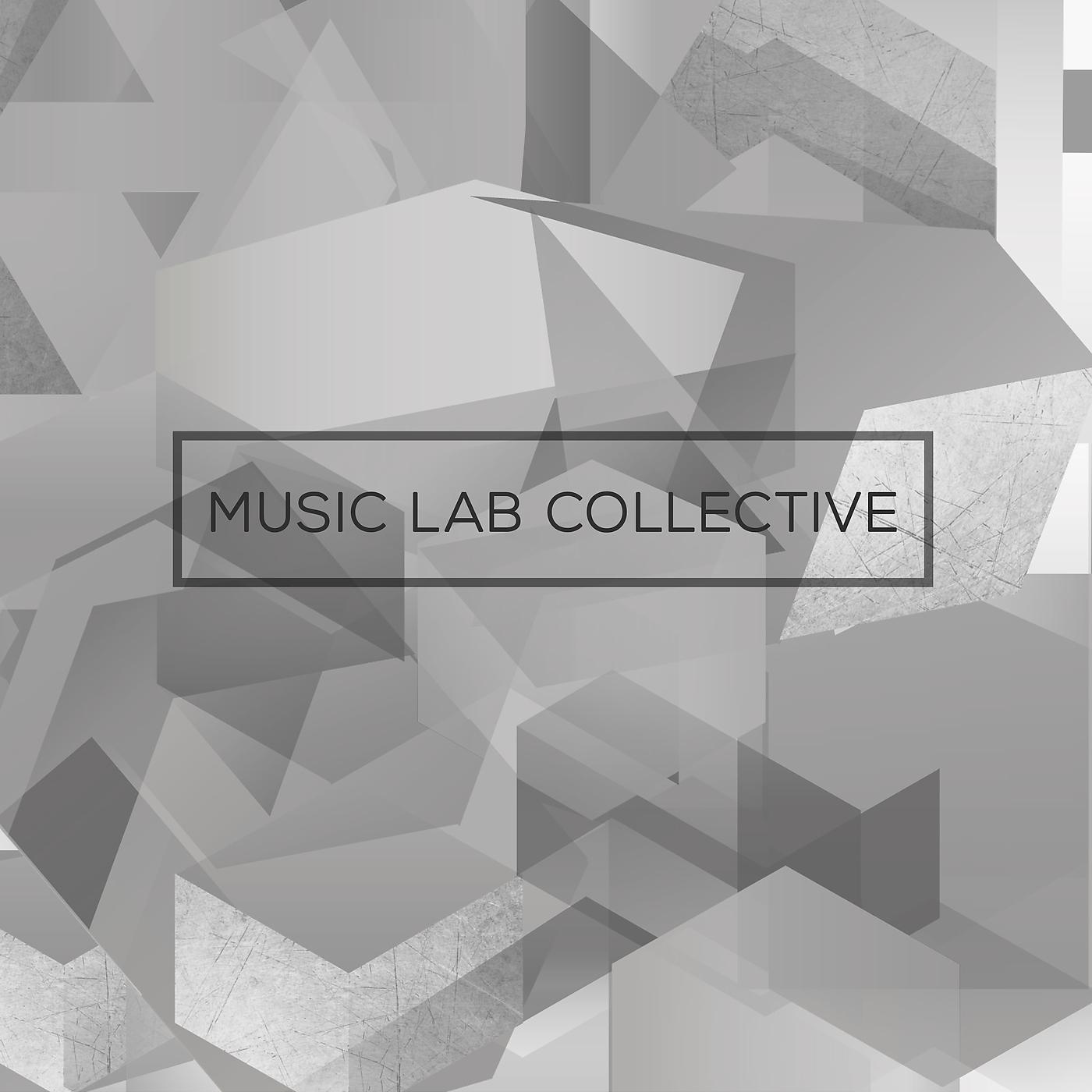 Постер альбома Music Lab Collective