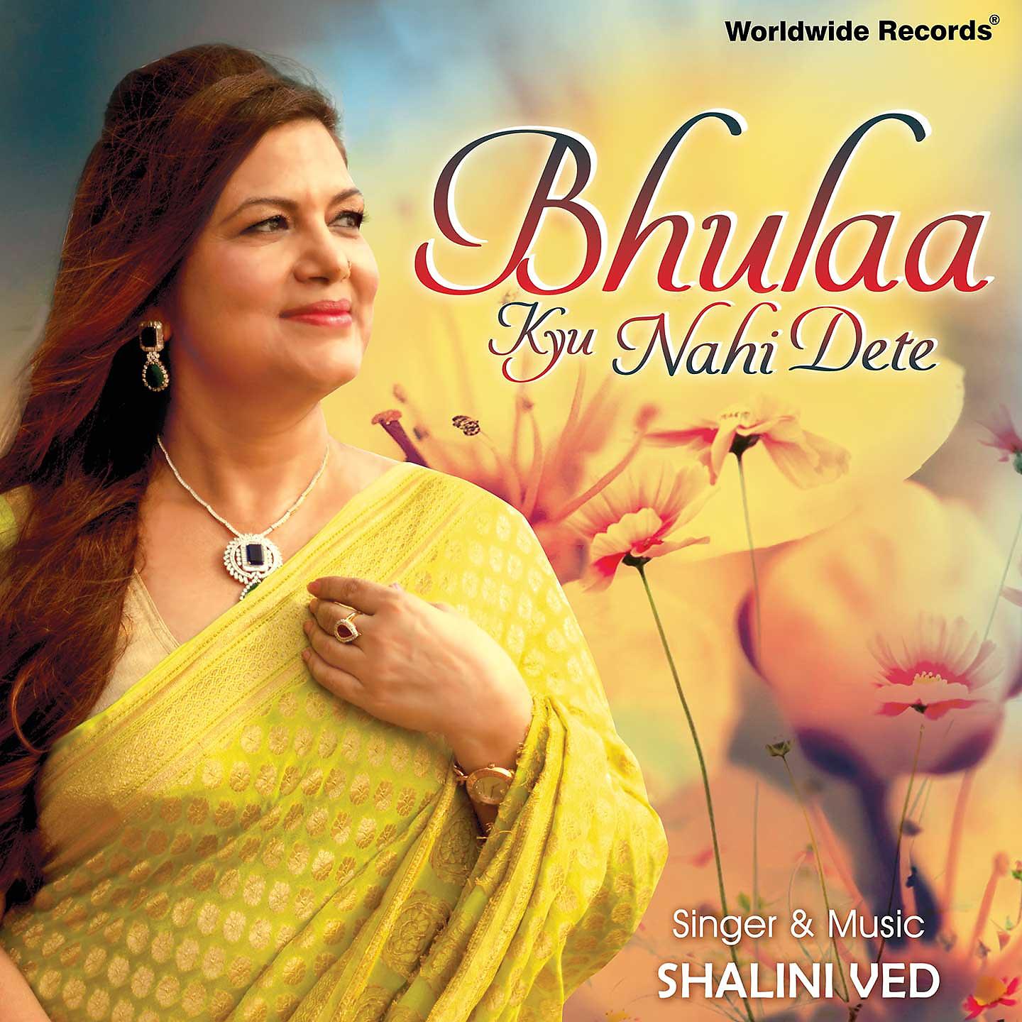 Постер альбома Bhulaa Kyu Nahi Dete