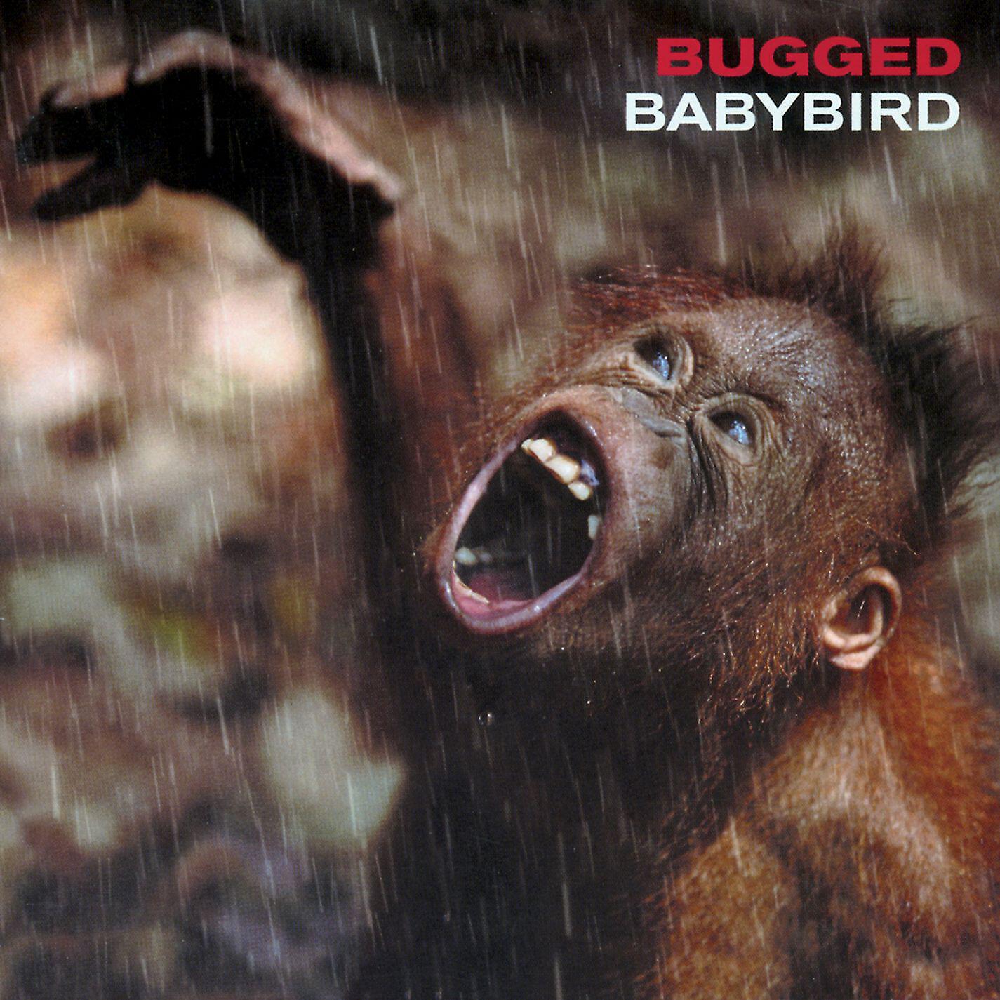 Babybird - Till You Die