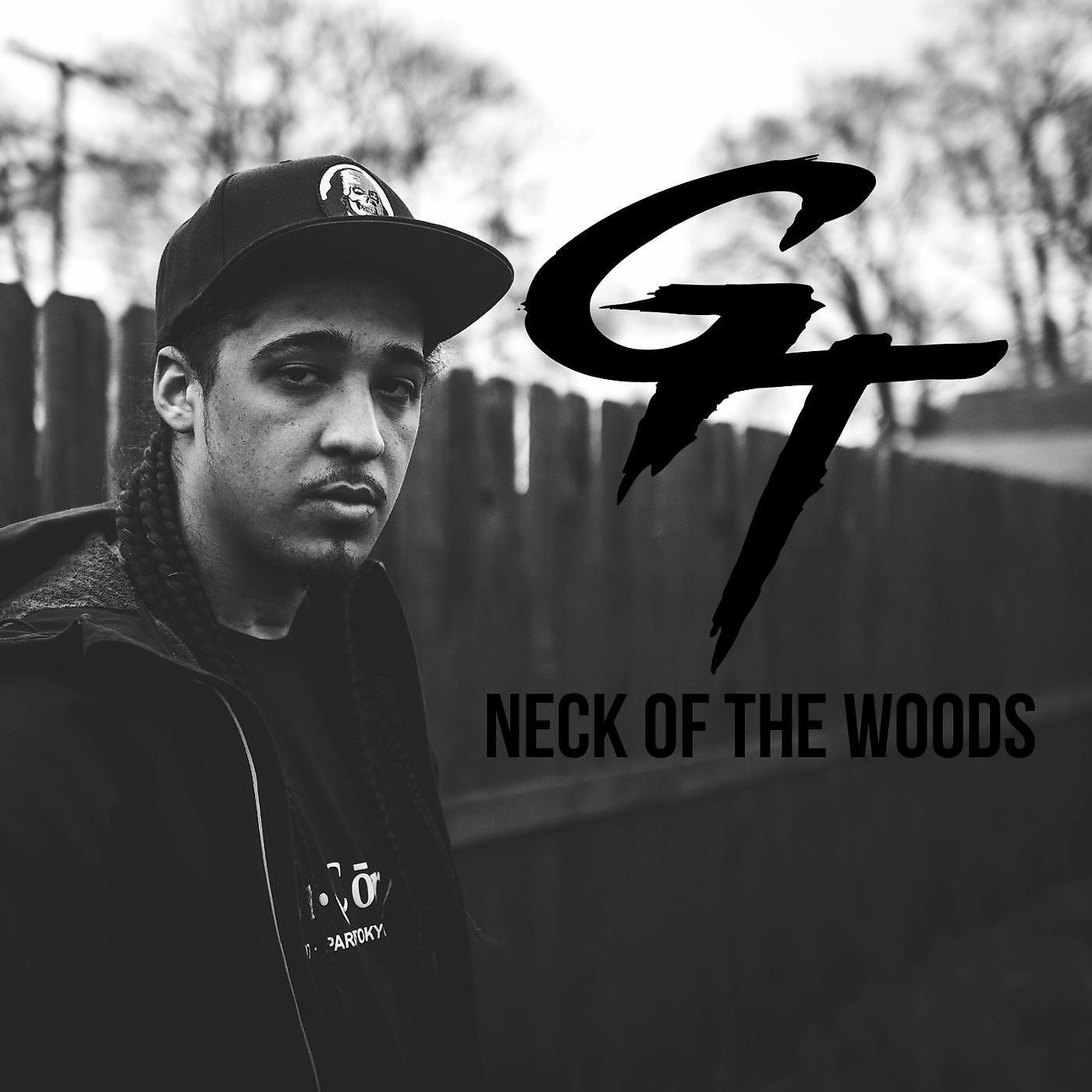 Постер альбома Neck of the Woods