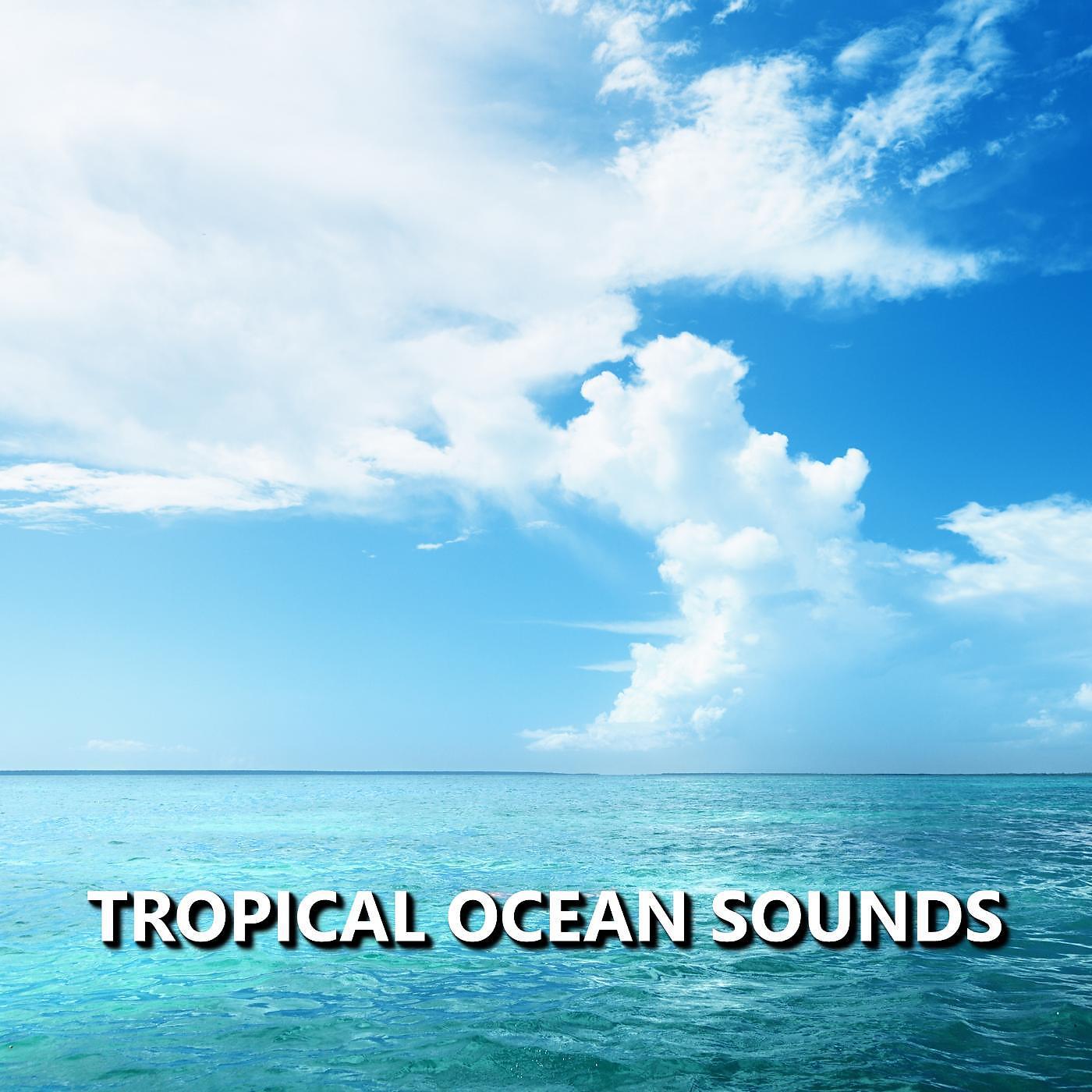 Постер альбома Tropical Ocean Sounds