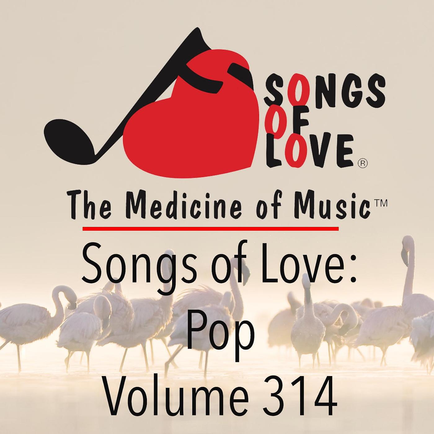 Постер альбома Songs of Love: Pop, Vol. 314