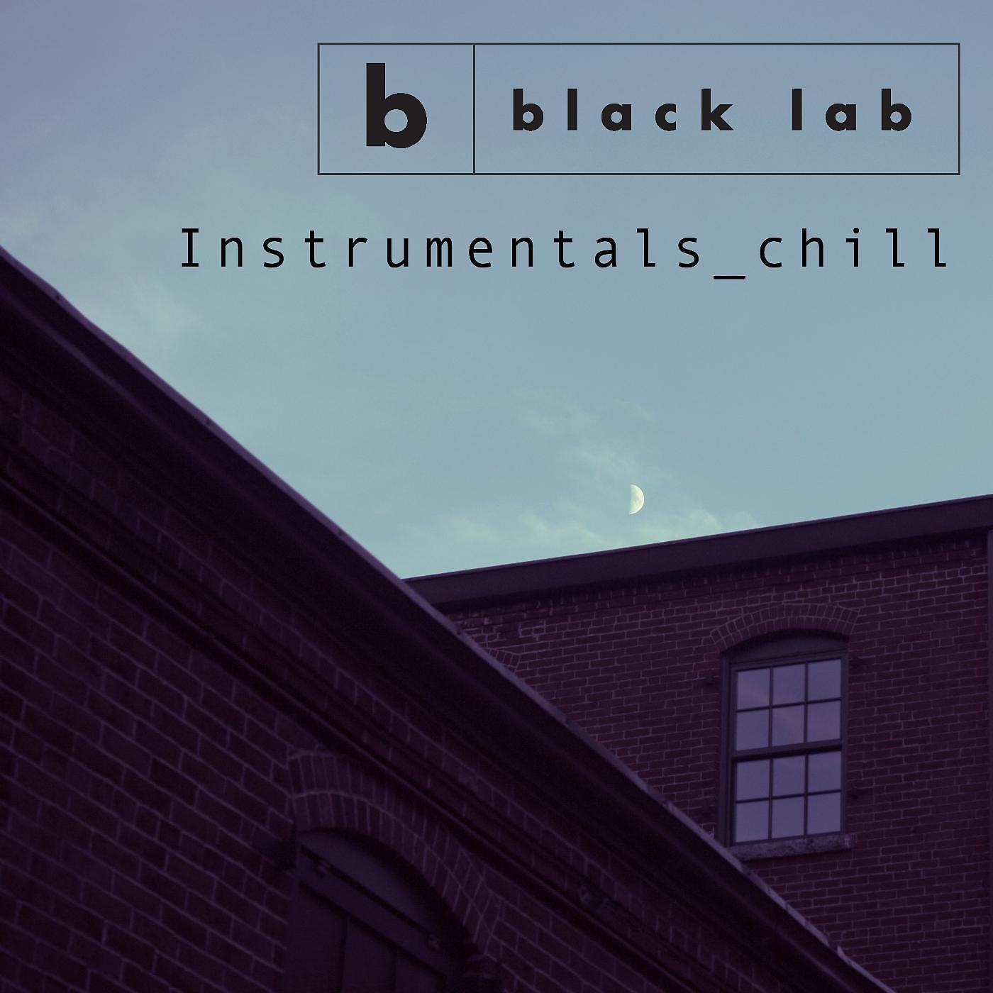 Постер альбома Instrumentals_chill