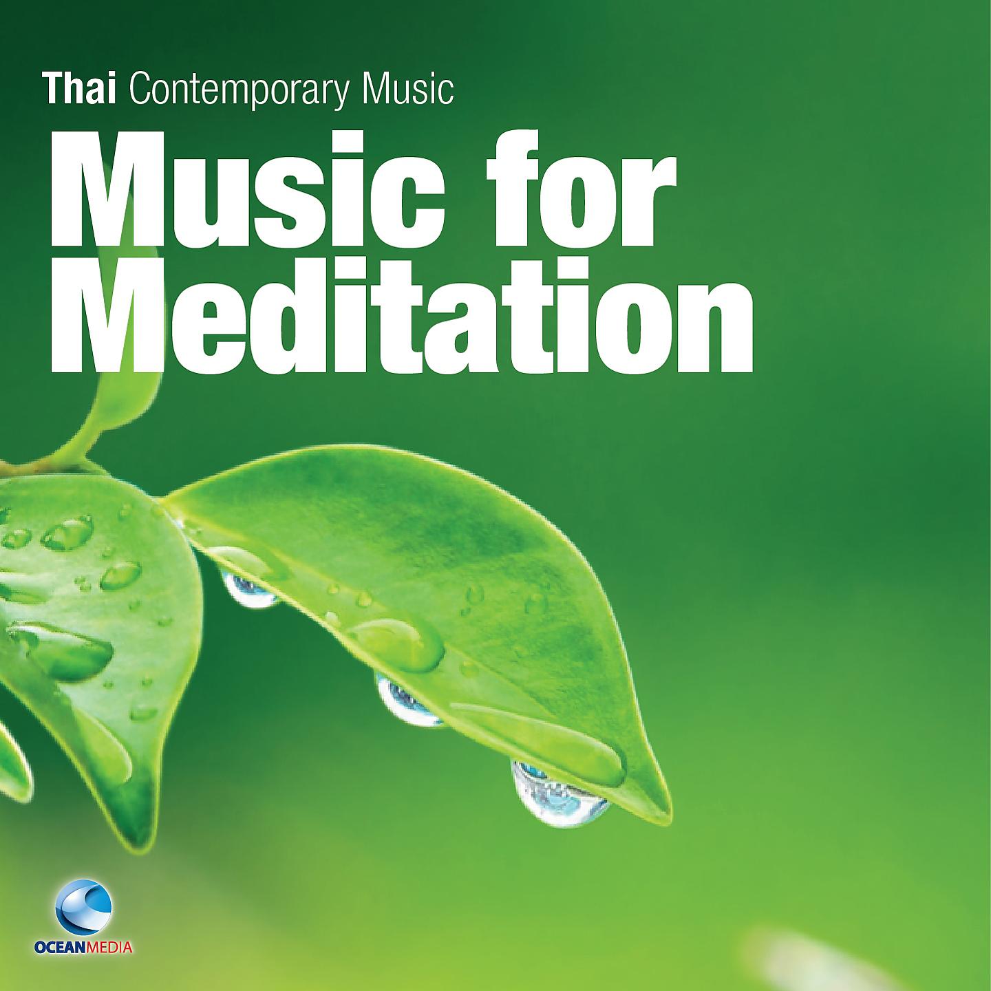 Постер альбома Music for Meditation