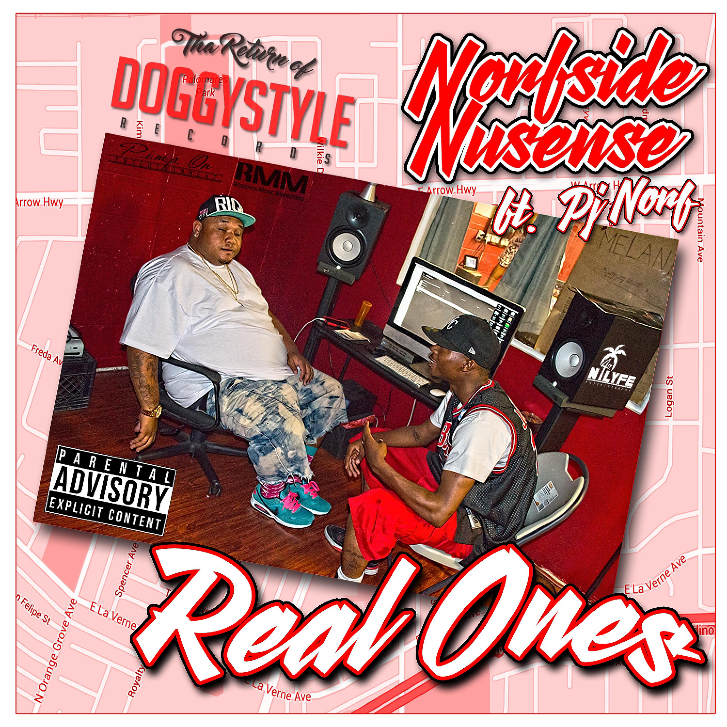 Постер альбома Real Ones (feat. Pj Norf) - Single