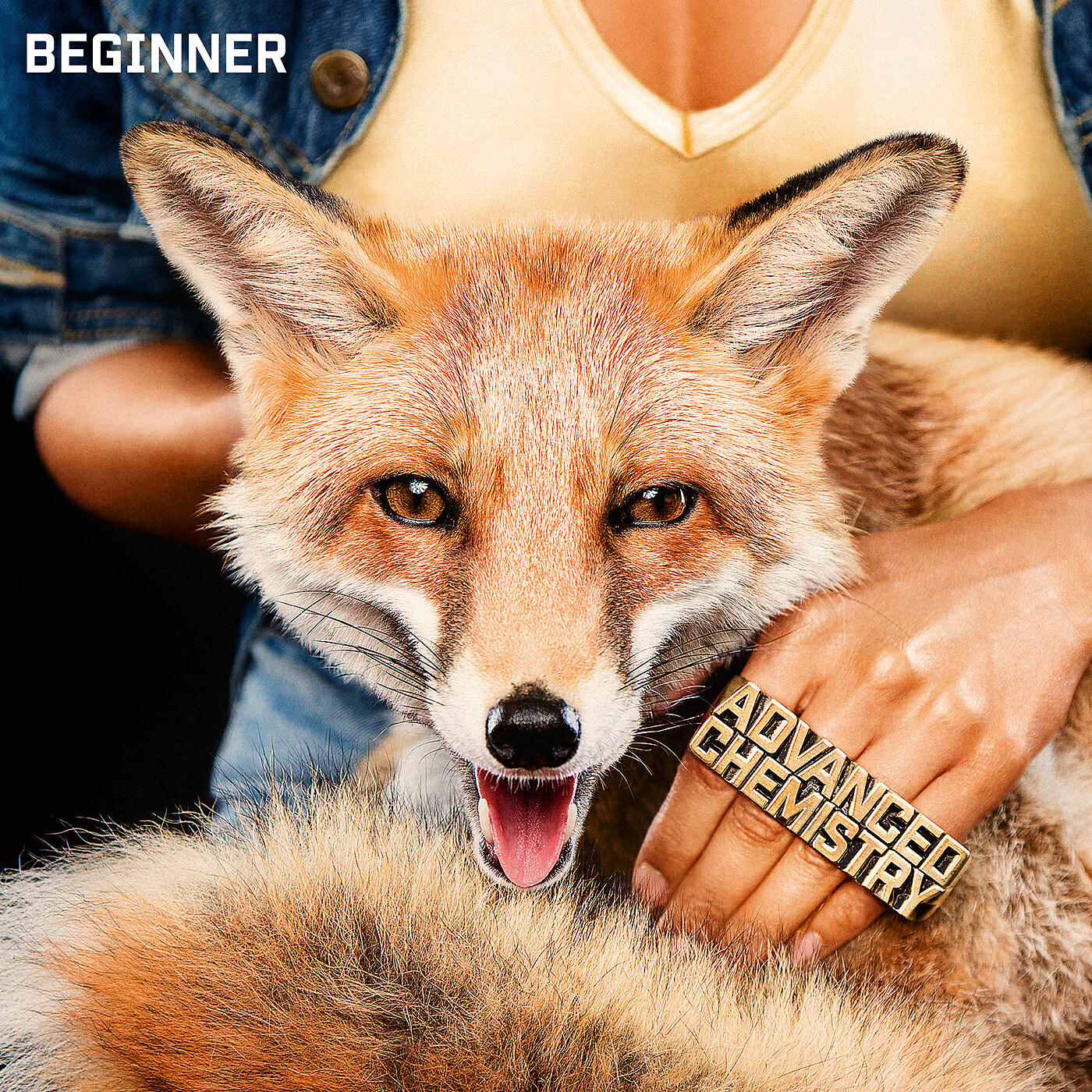 Beginner - So schön
