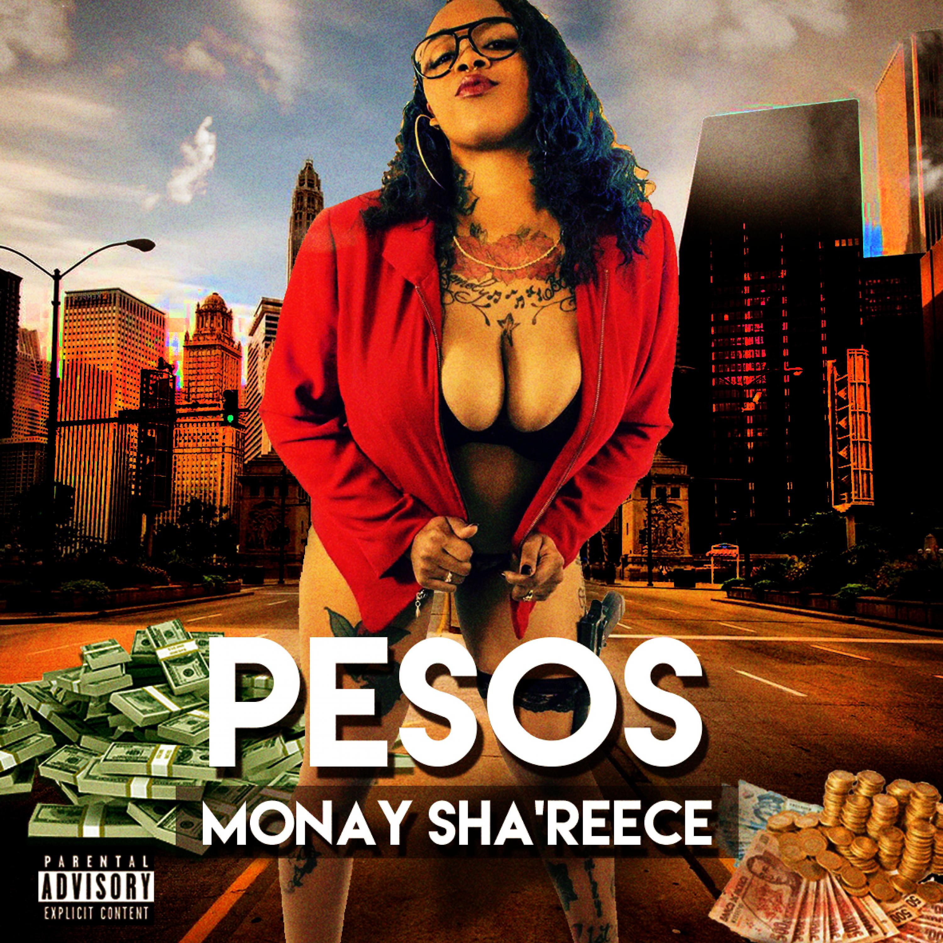 Постер альбома Pesos - Single