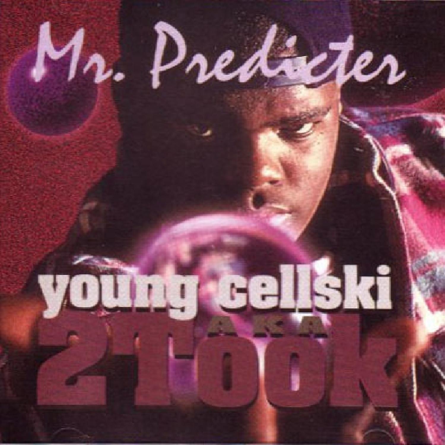 Постер альбома Mr. Predicter