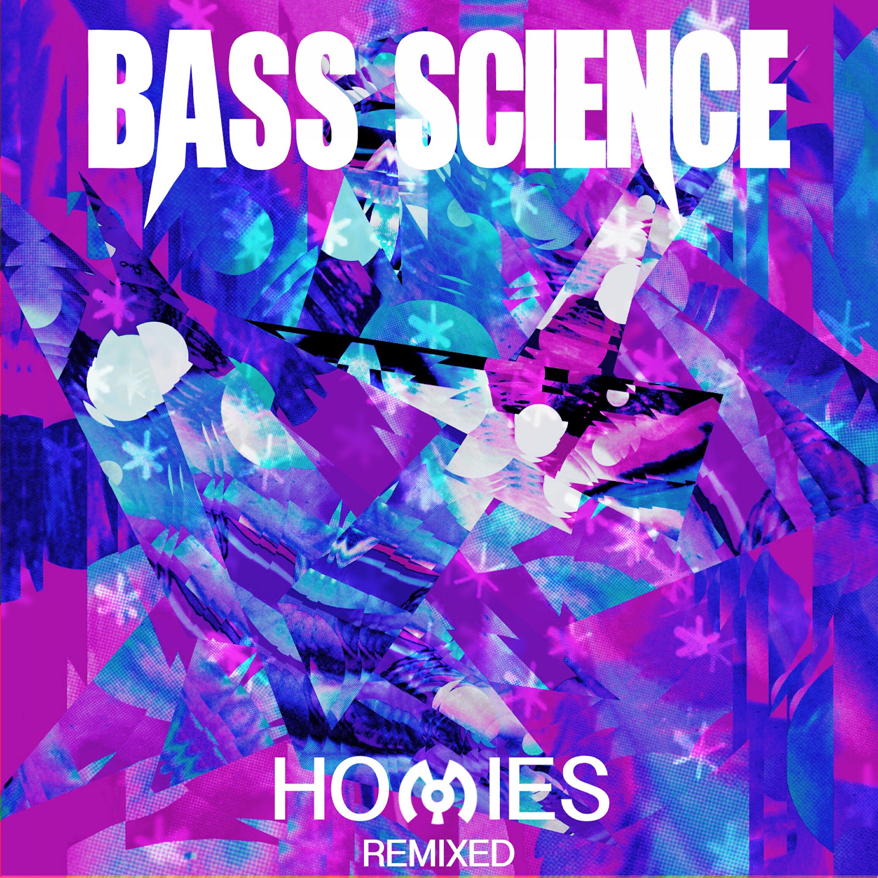Bass Science - Broken Hearts (BSN Posse Remix) (feat. Dev79)