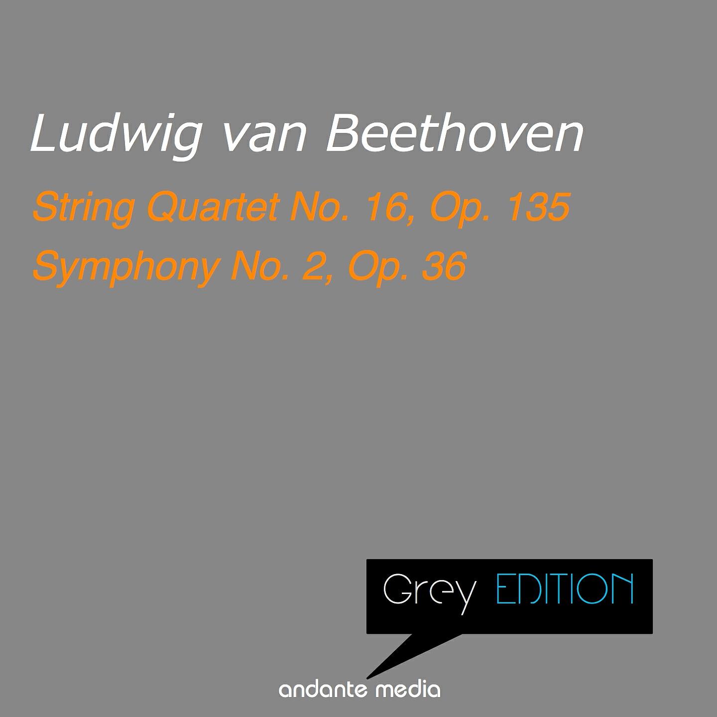 Bamberg Symphony - Symphony No. 2 in D Major, Op. 36: I. Adagio molto - Allegro con brio