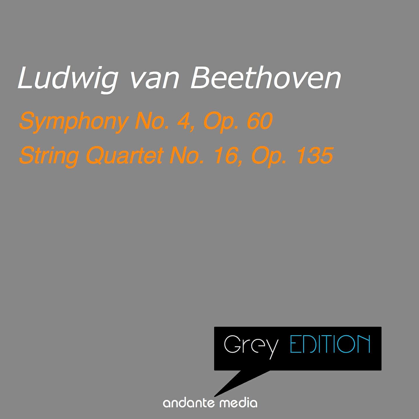 Bamberg Symphony - Symphony No. 4 in E-Flat Major, Op. 60: II. Adagio