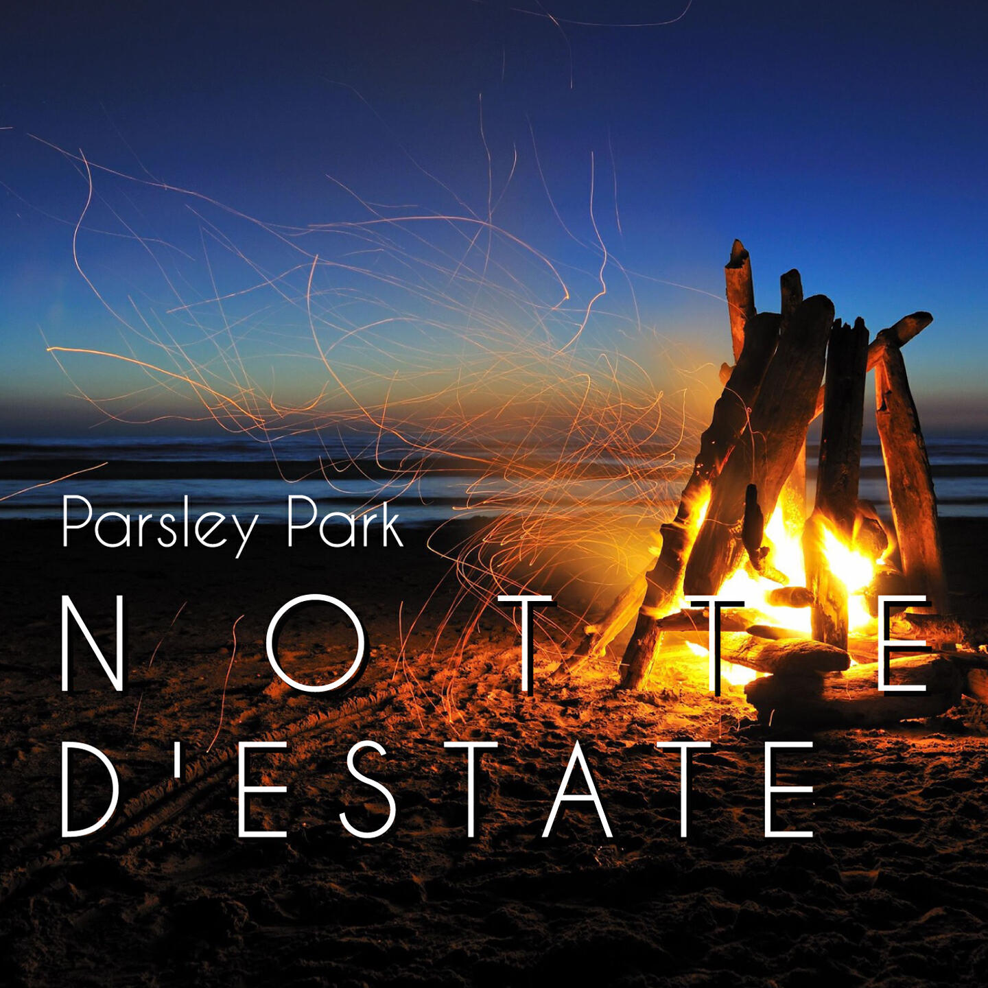 Parsley Park - Notte d'estate (DJ Maxwell Star Mix Radio)