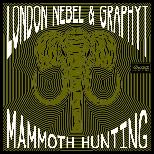Постер альбома Mammoth Hunting
