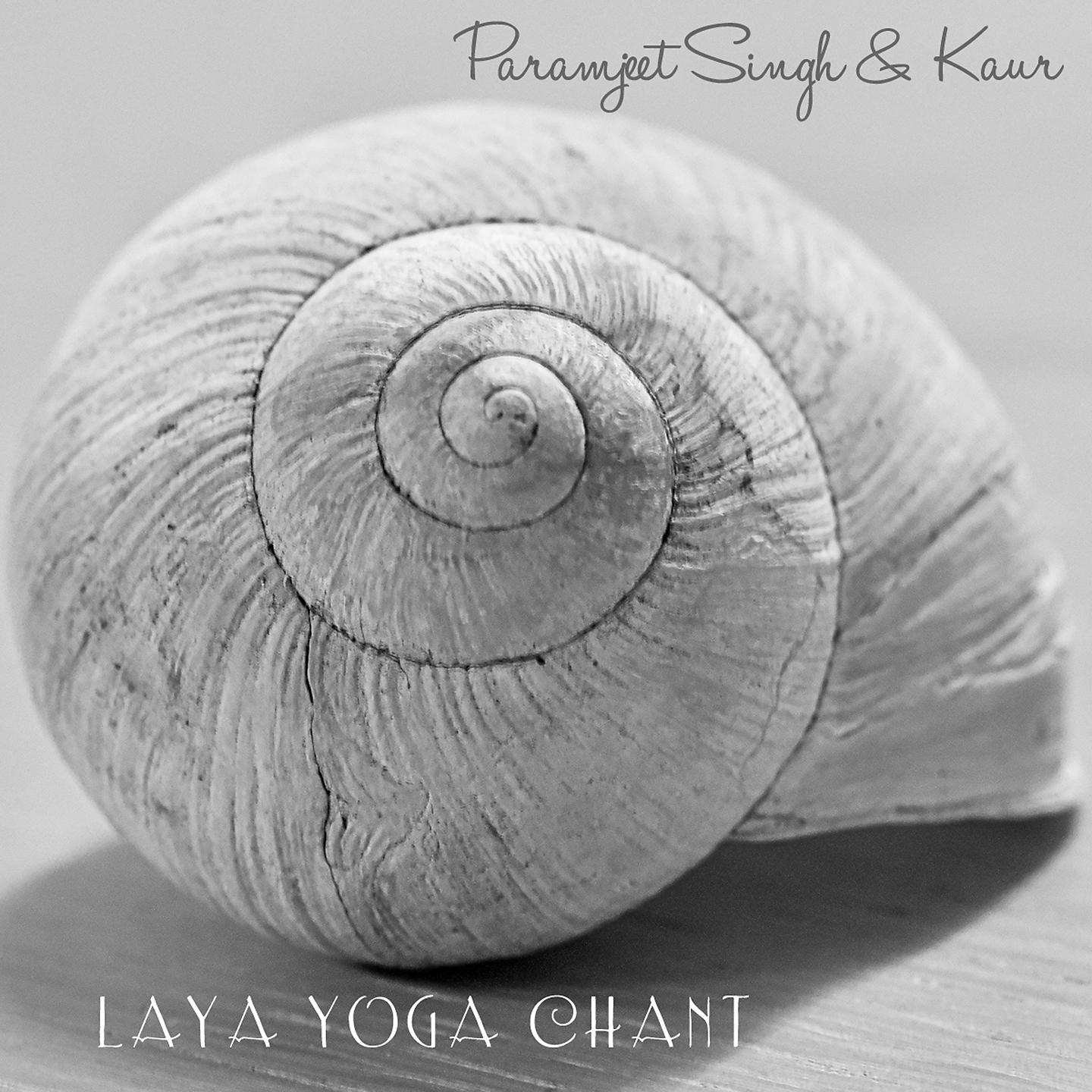 Постер альбома Laya Yoga Chant