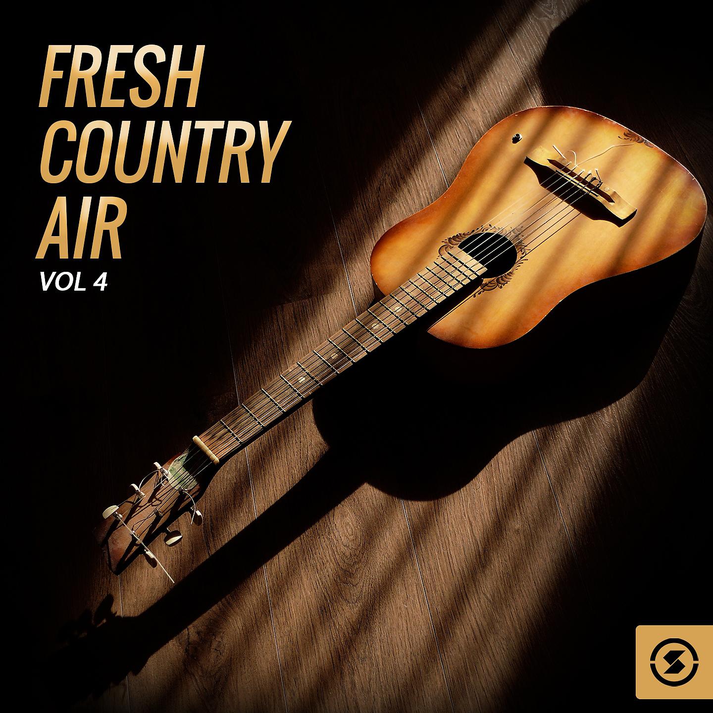 Постер альбома Fresh Country Air, Vol. 4