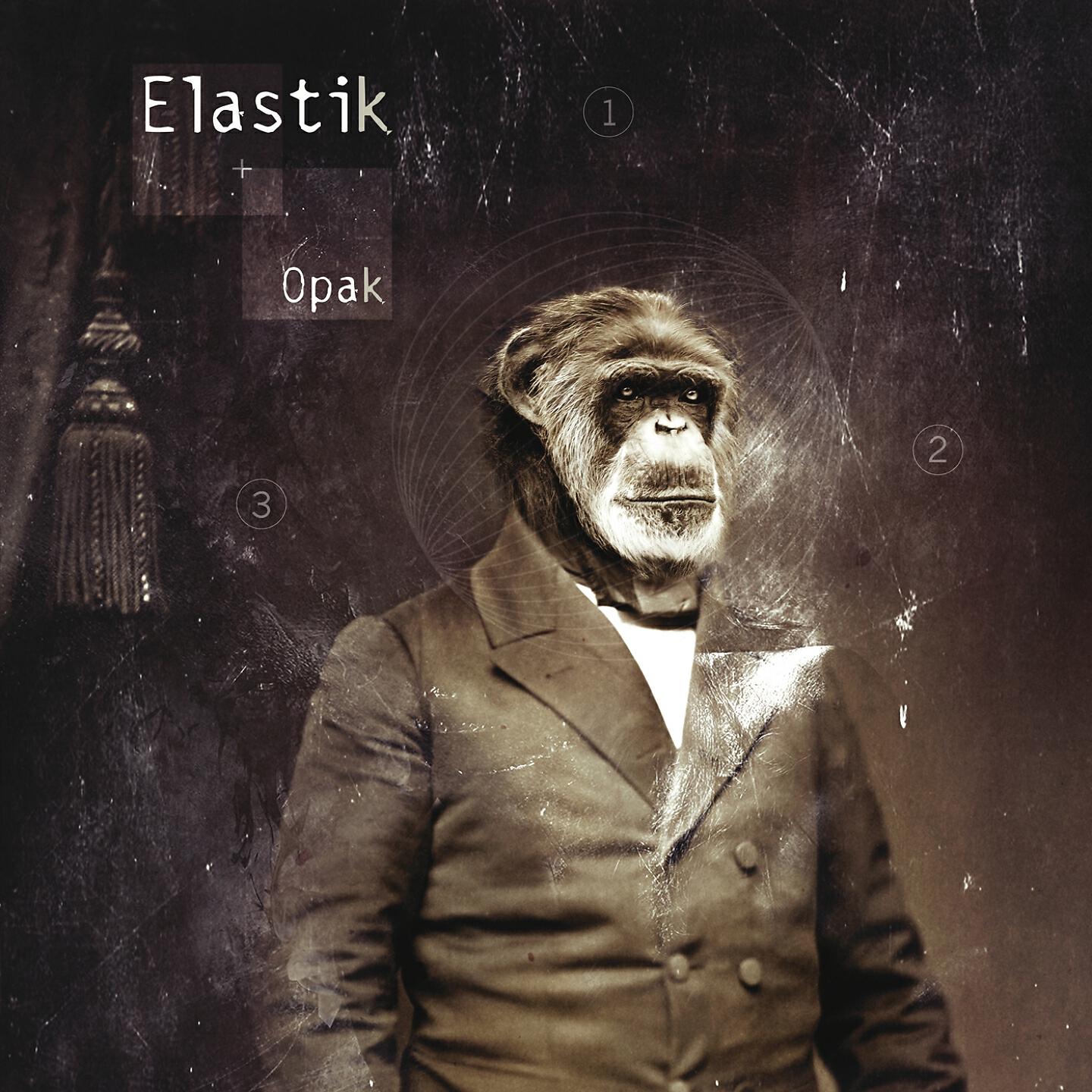 Elastik - Dissolved
