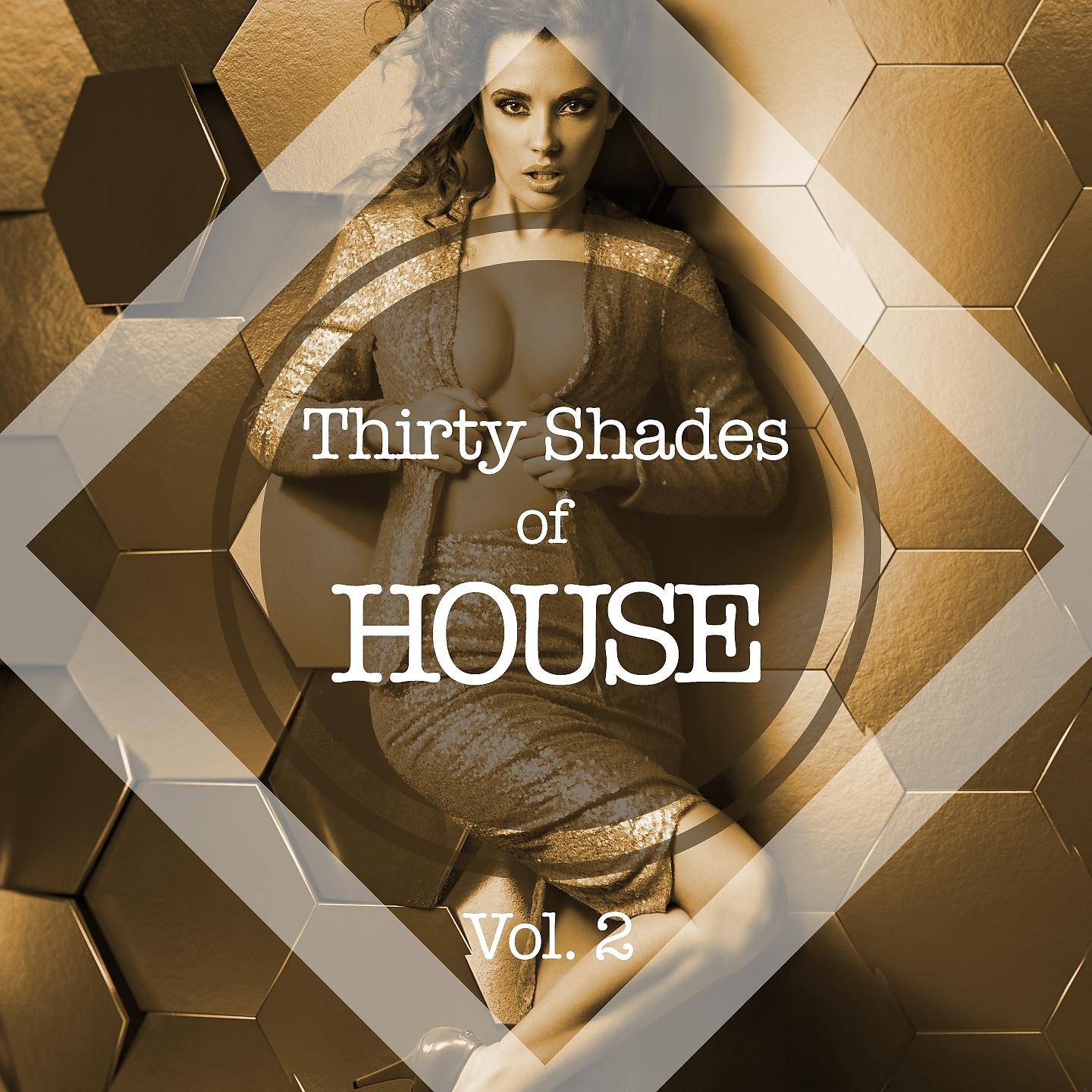 Постер альбома Thirty Shades of House, Vol. 2