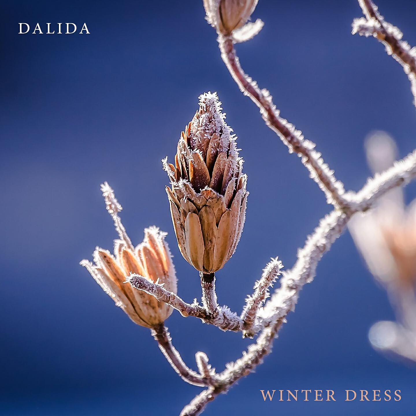 Dalida - La Lecon De Twist