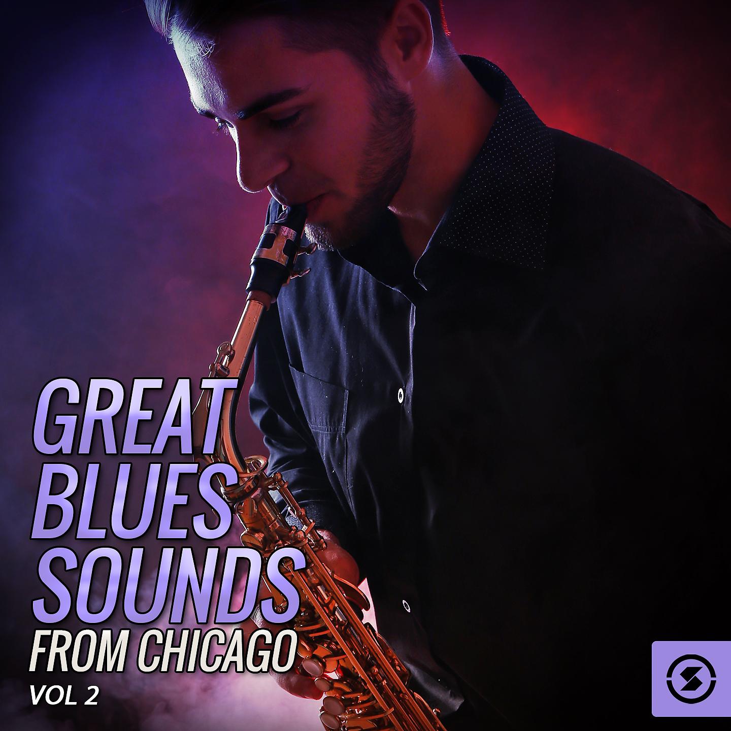 Постер альбома Great Blues Sounds from Chicago, Vol. 2
