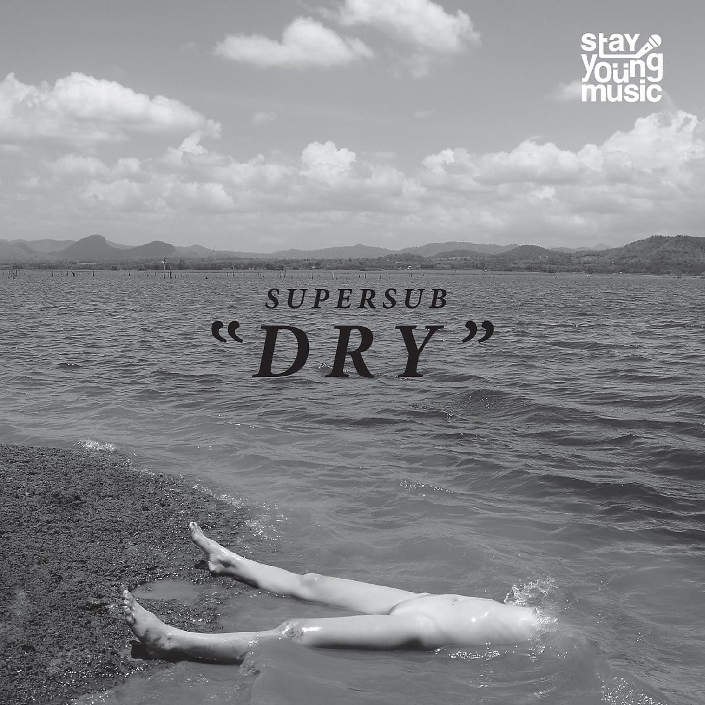 Постер альбома Dry
